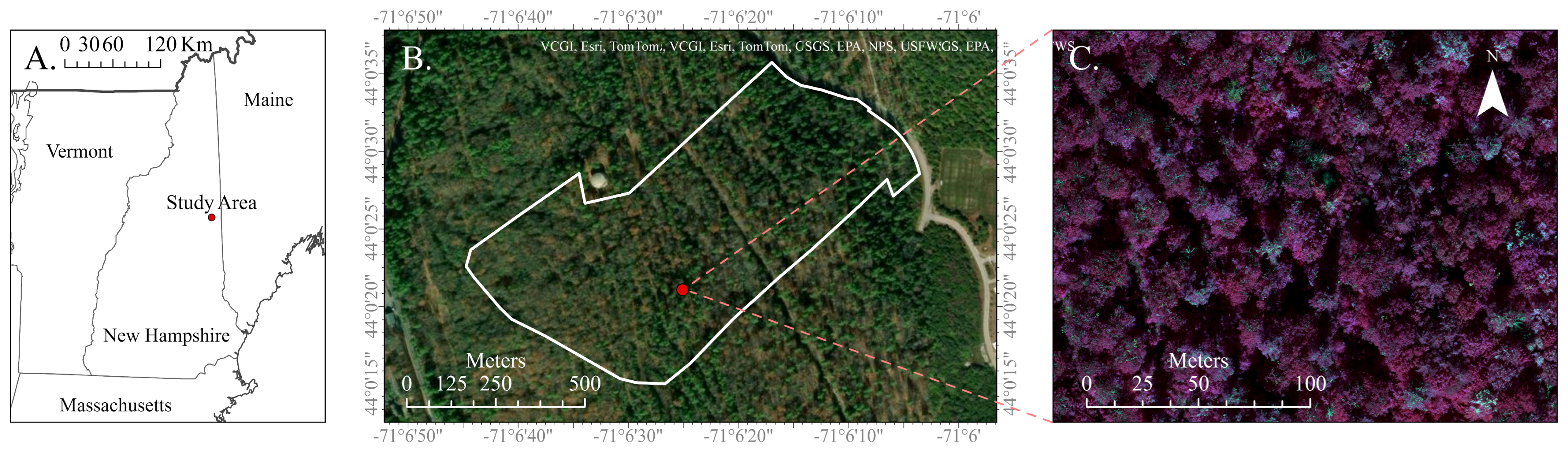 Forests 15 00706 g001