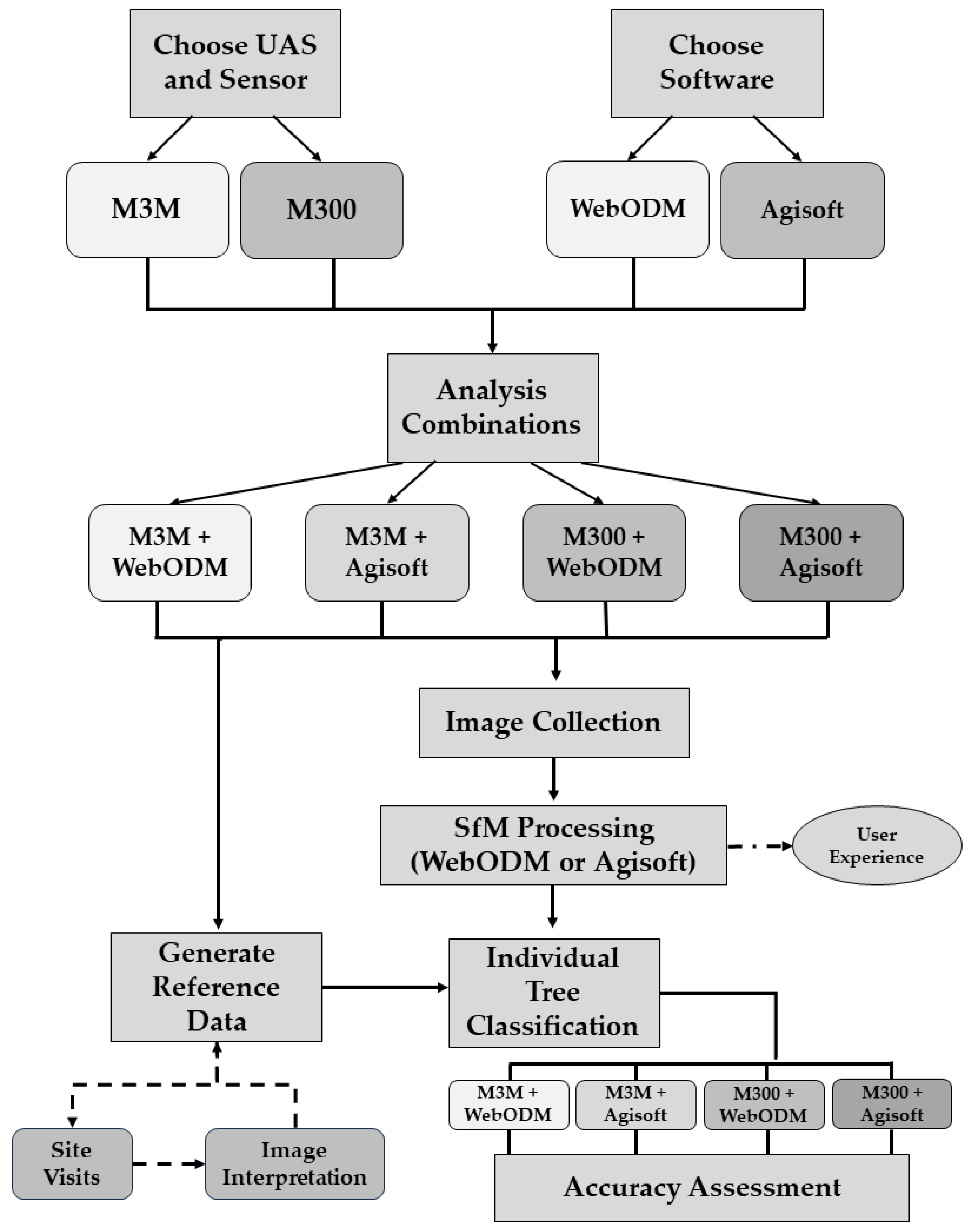 Forests 15 00706 g002