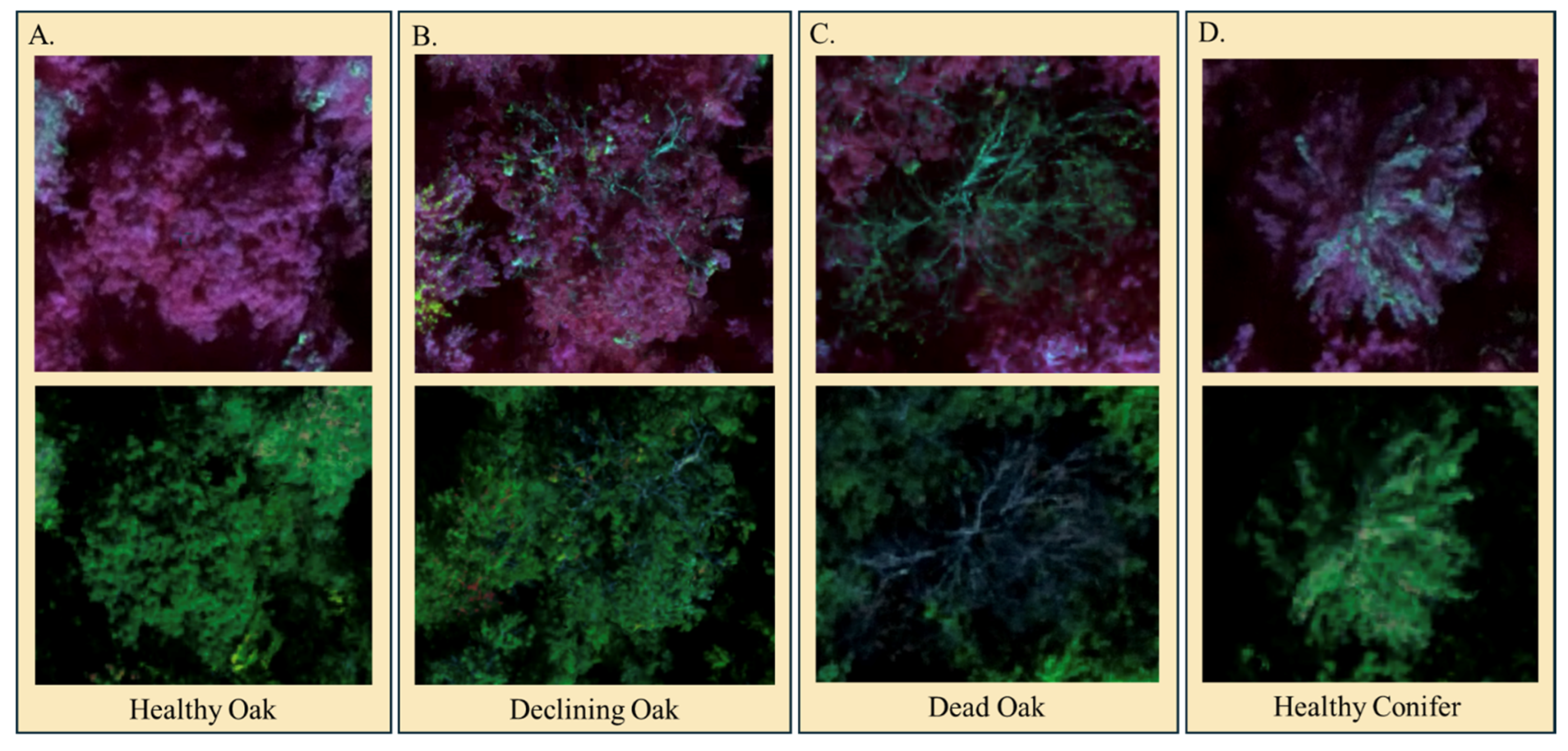 Forests 15 00706 g003