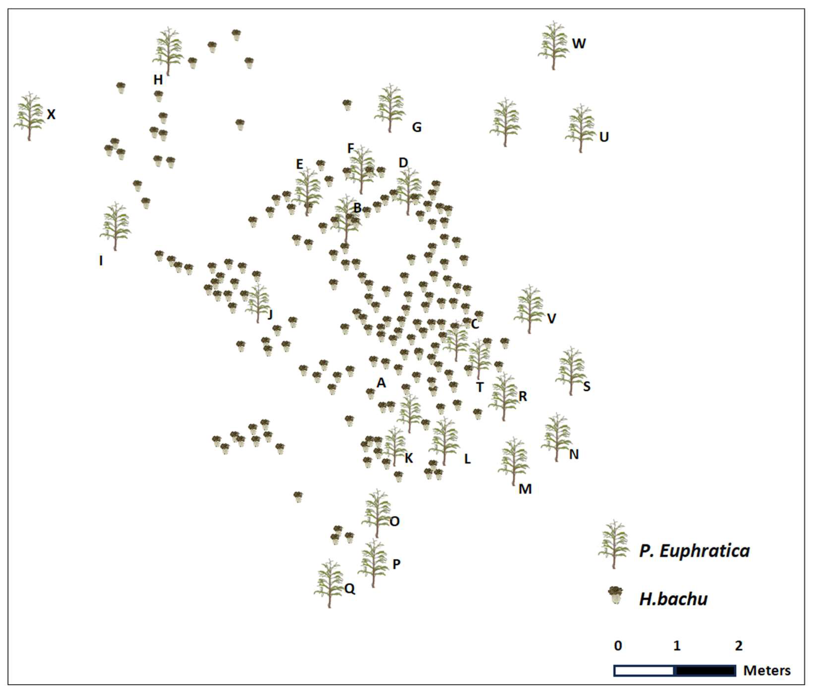 Forests 15 00721 g002