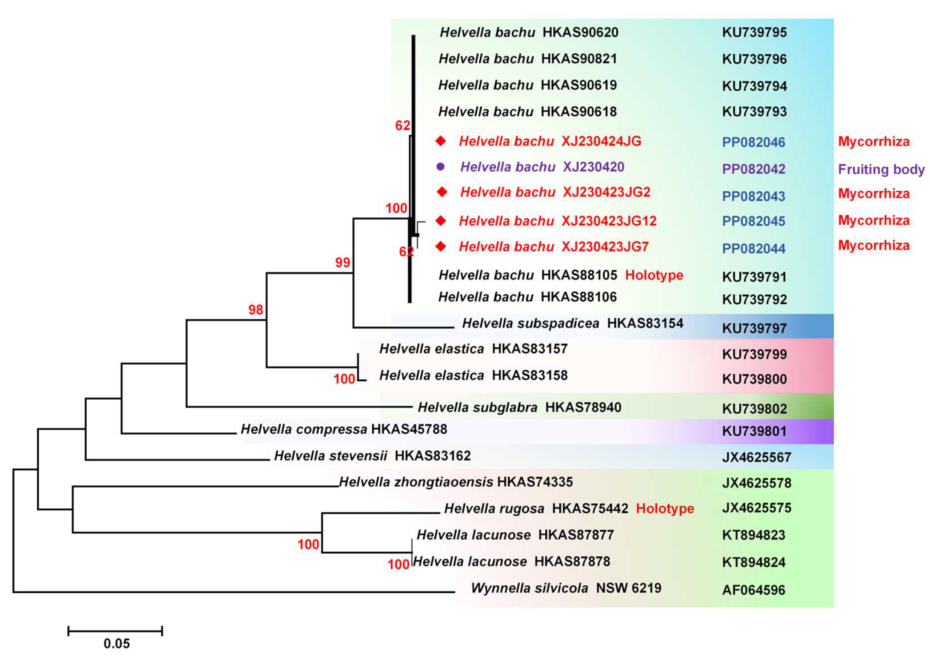 Forests 15 00721 g003