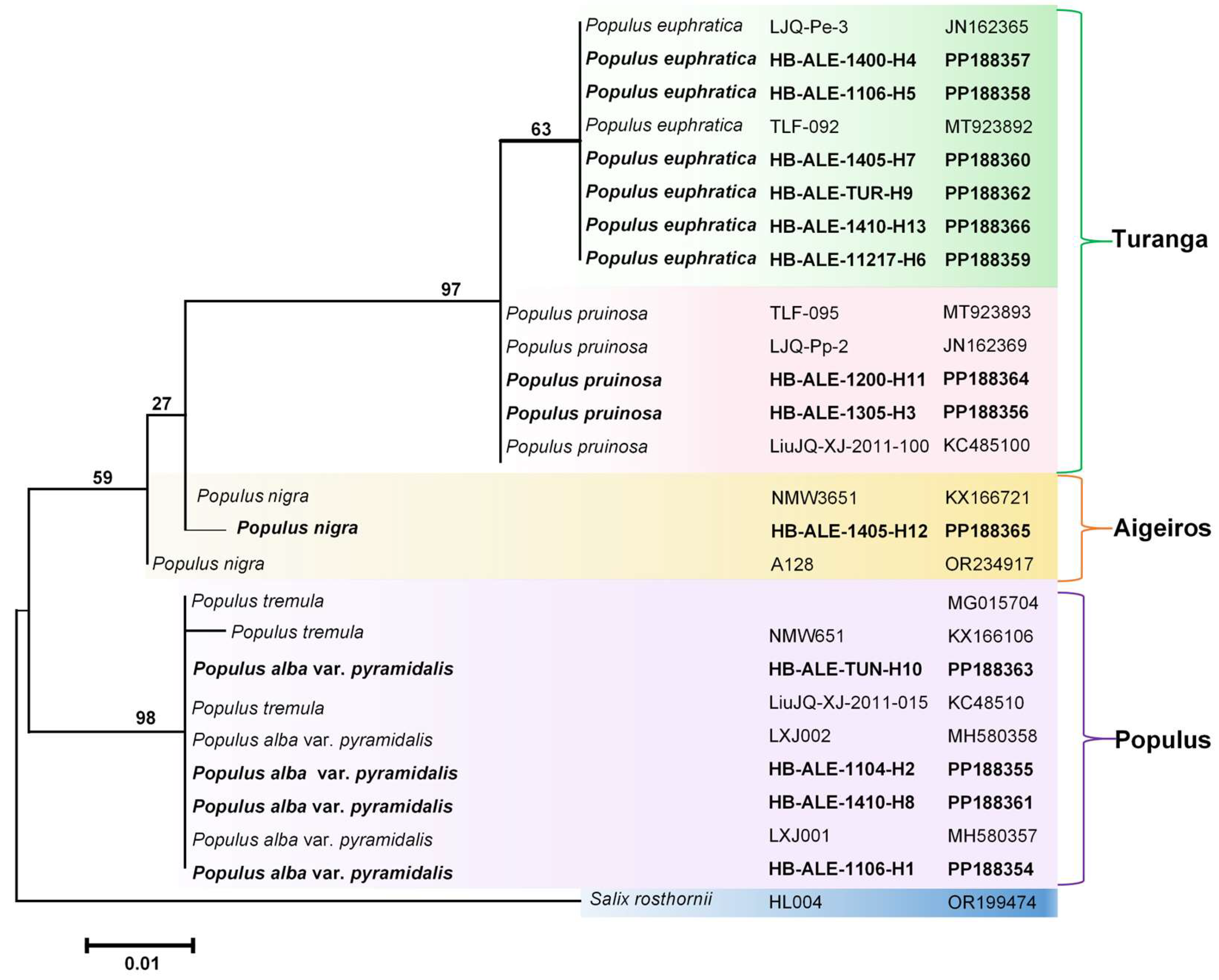 Forests 15 00721 g005
