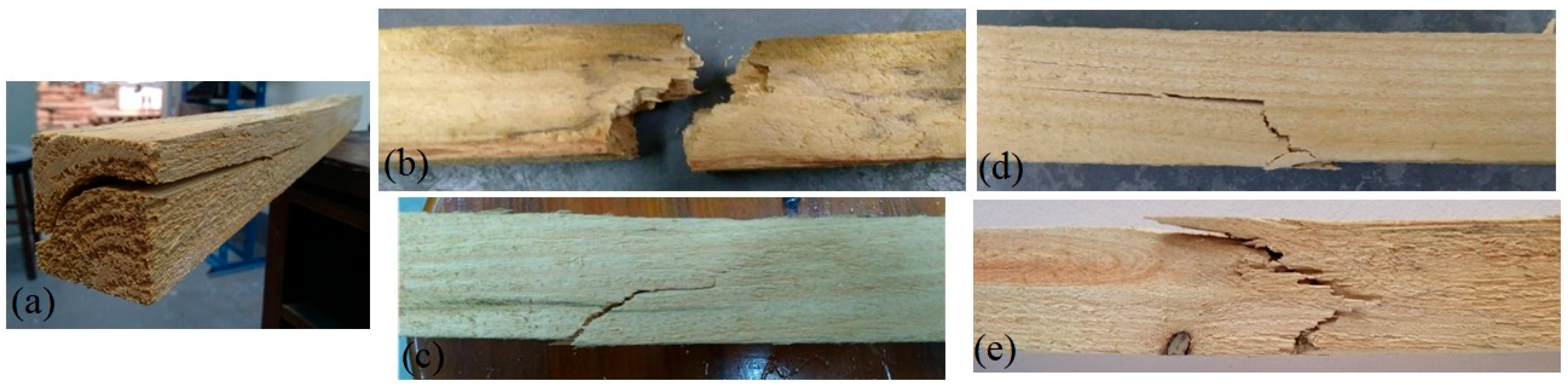 Forests 15 00722 g010 Forests 15 00722 g010