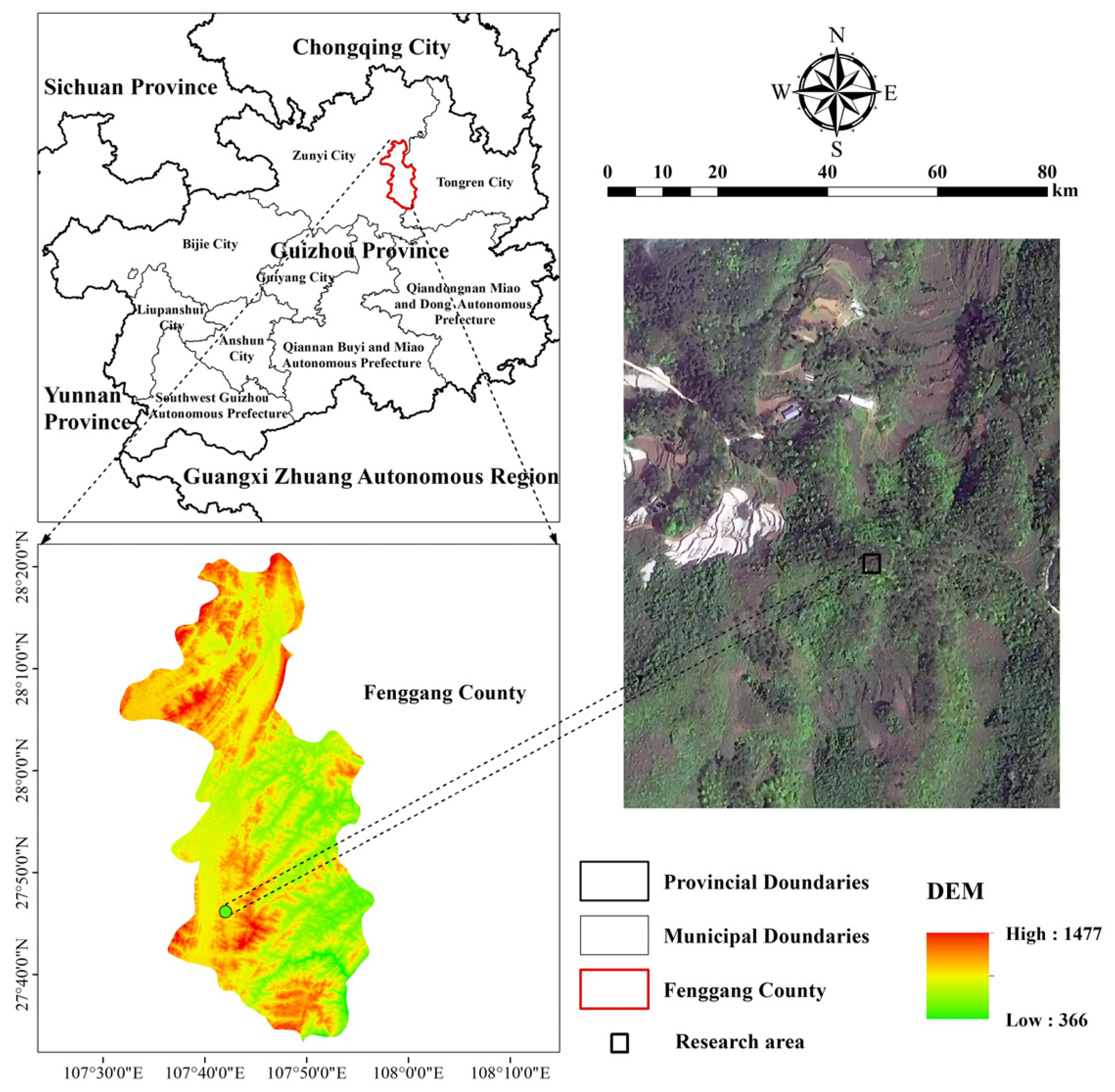 Forests 15 00726 g001 Forests 15 00726 g001
