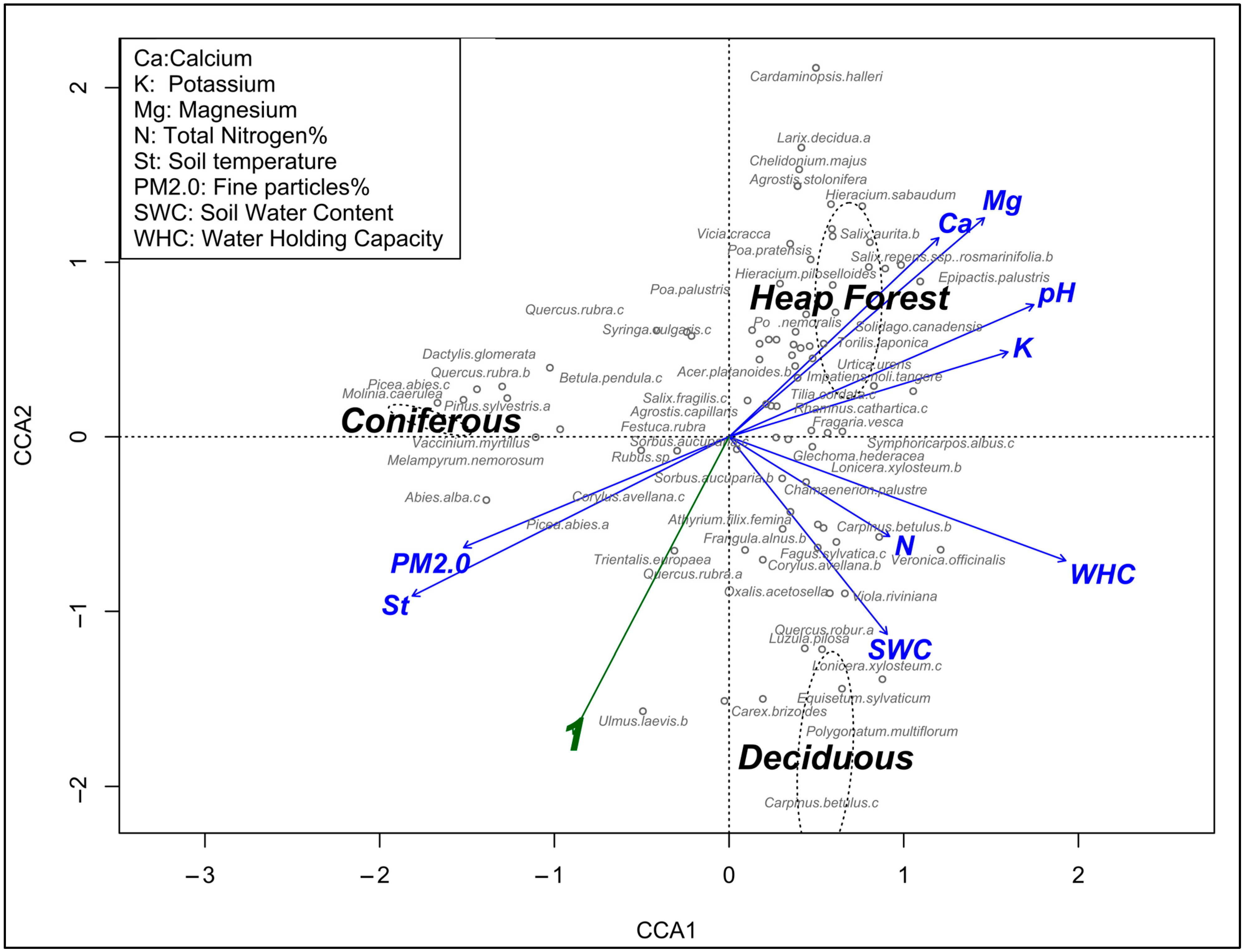 Forests 15 00730 g005