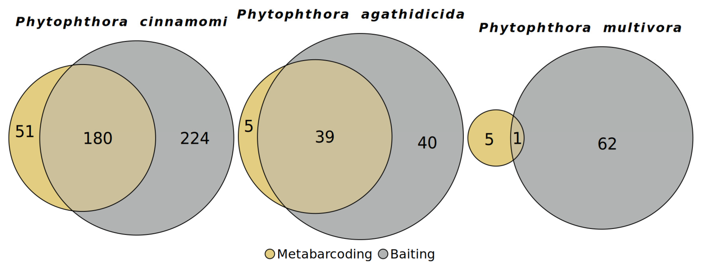 Forests 15 00735 g004