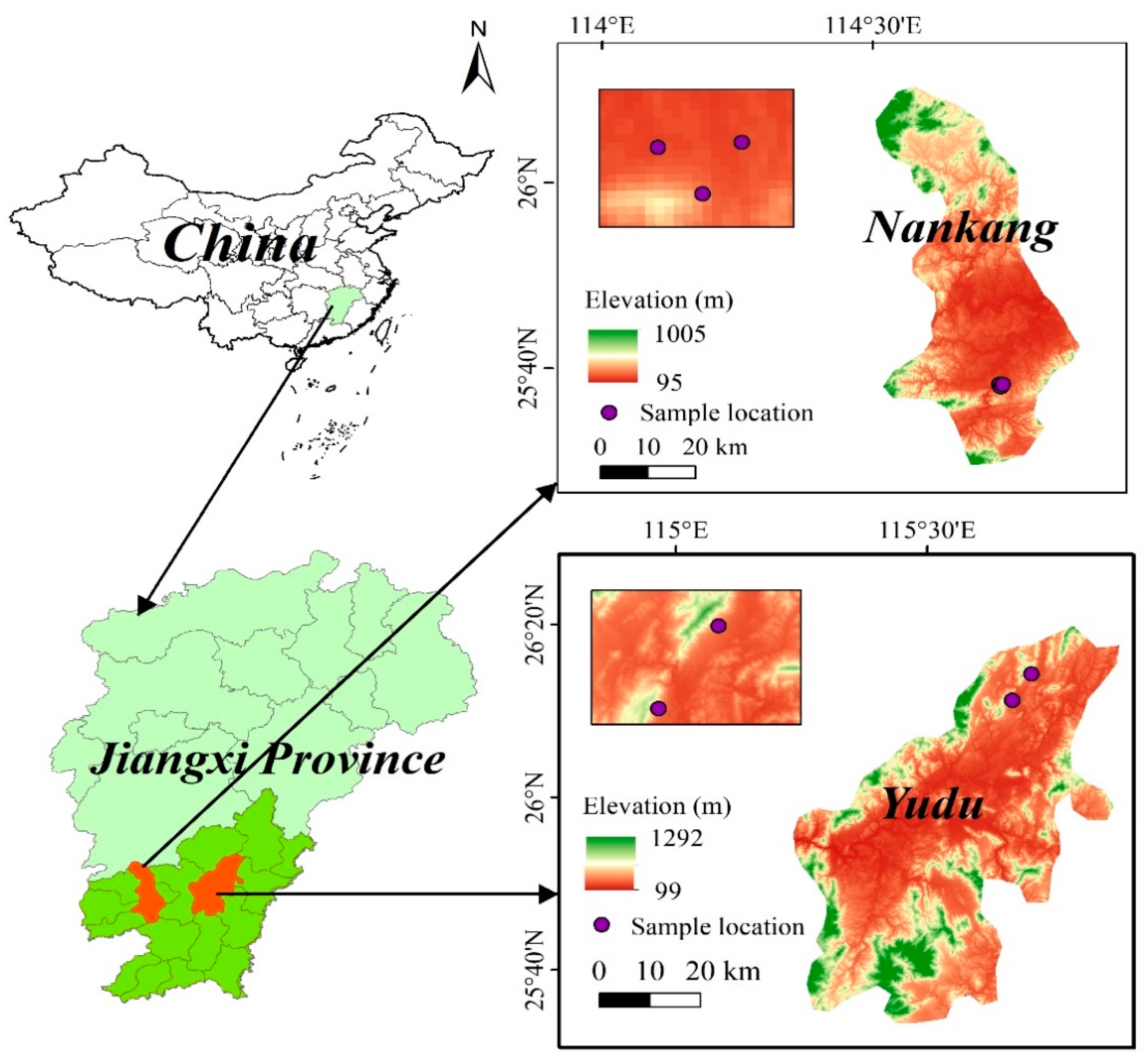 Forests 15 00736 g001
