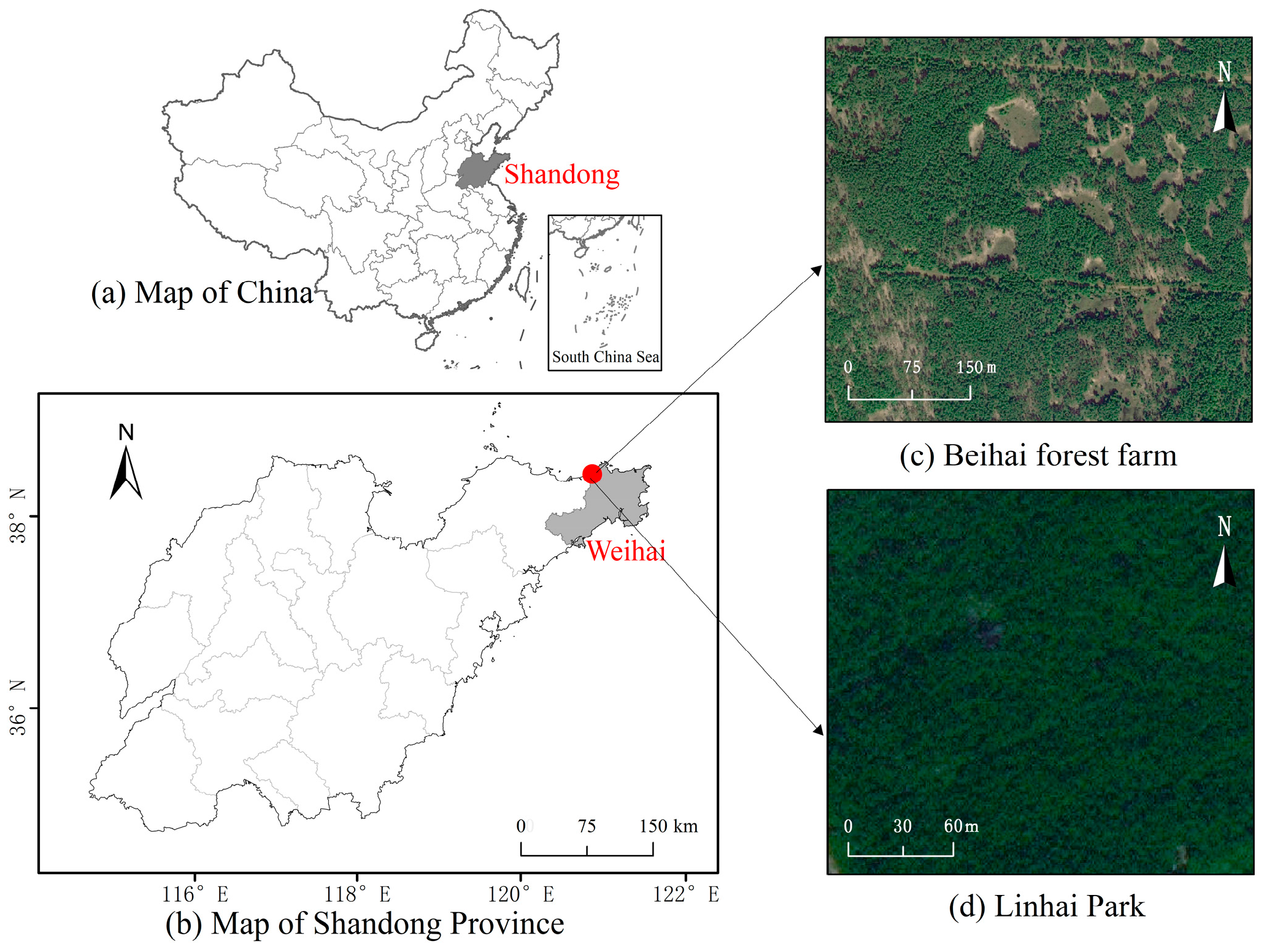 Forests 15 00737 g001