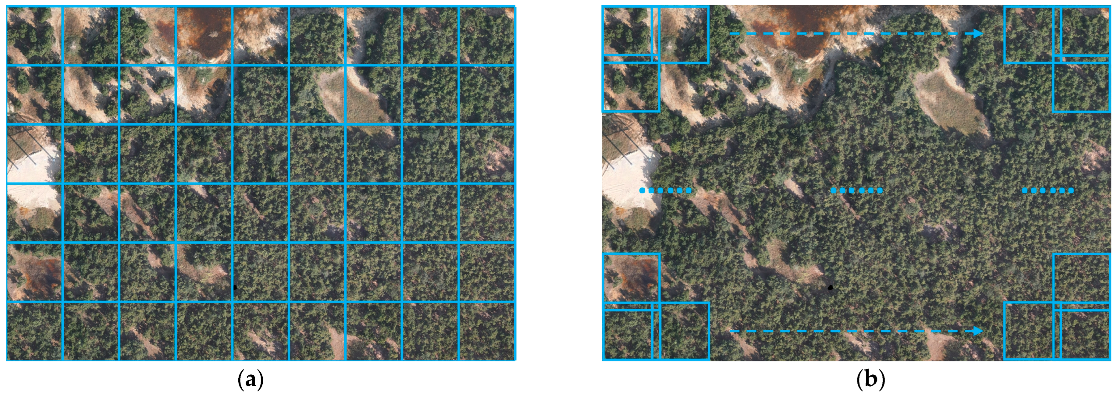 Forests 15 00737 g002