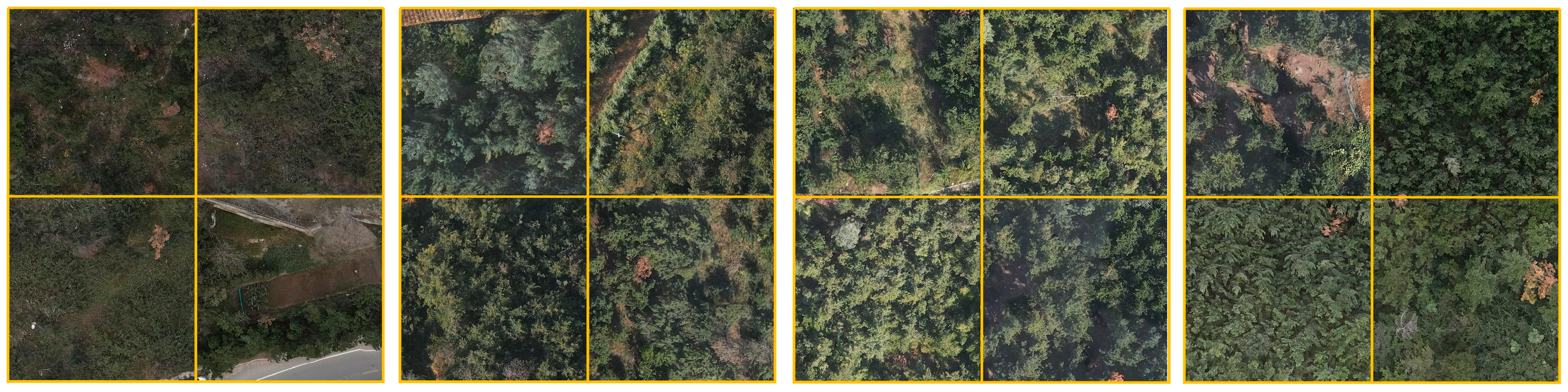 Forests 15 00737 g003