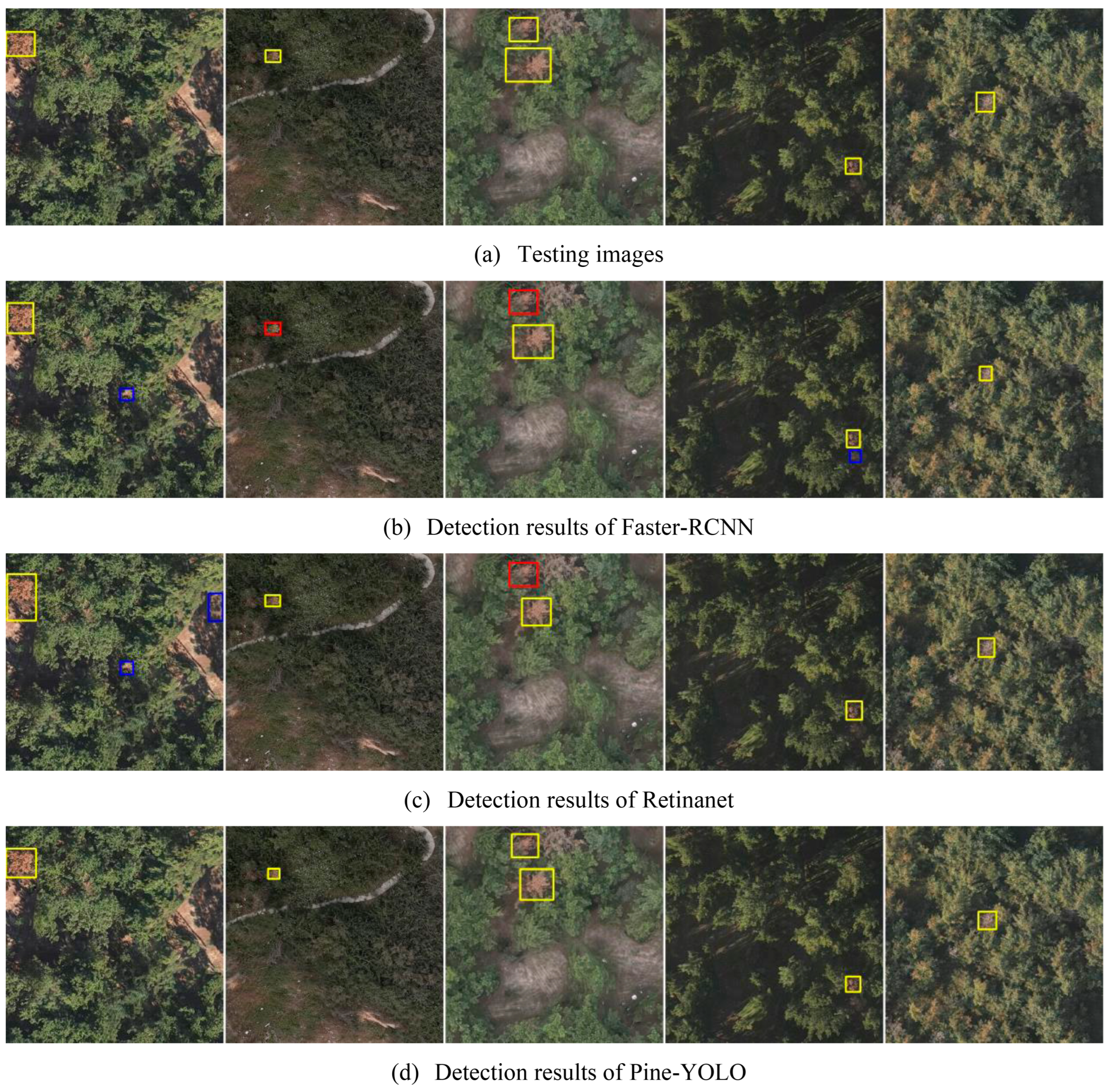 Forests 15 00737 g011