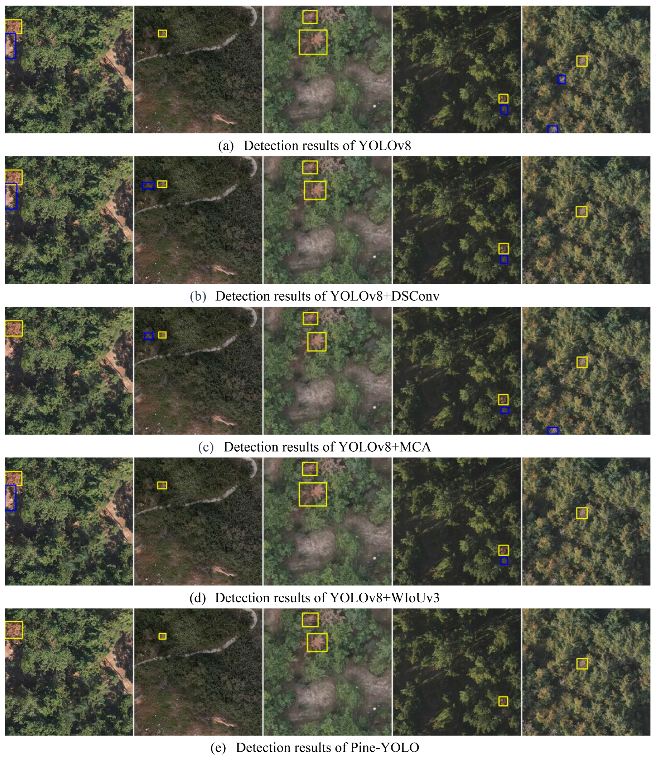 Forests 15 00737 g012