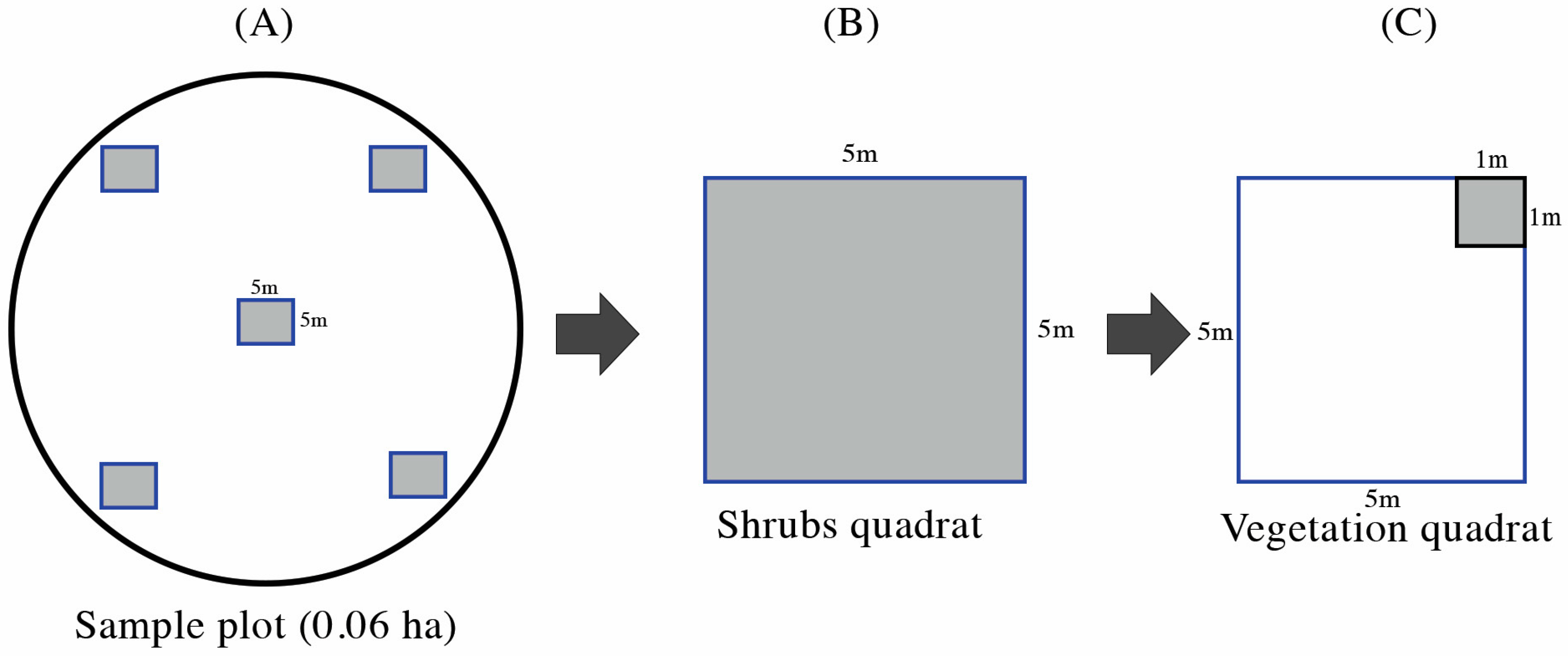 Forests 15 00738 g002