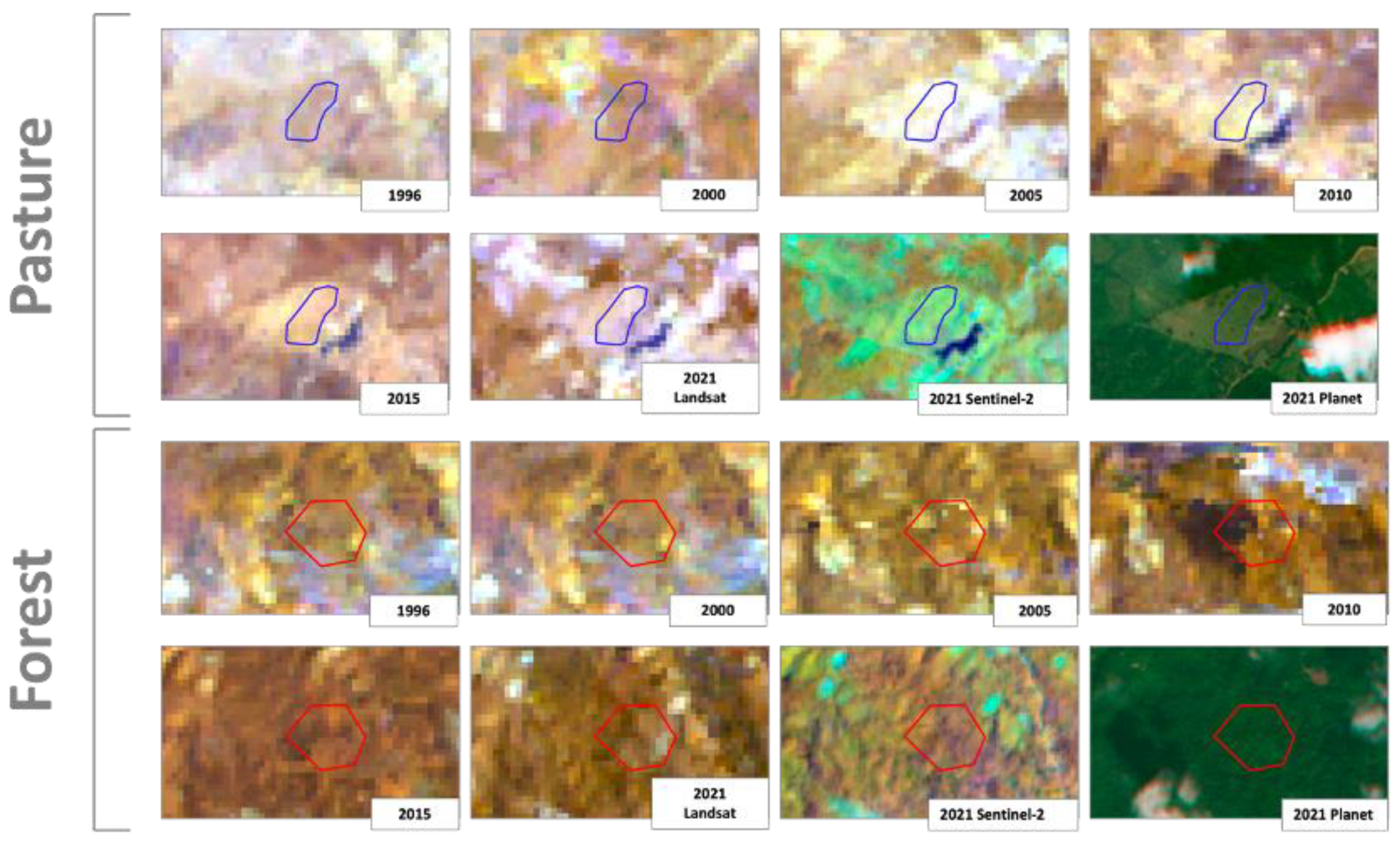 Forests 15 00754 g004 Forests 15 00754 g004