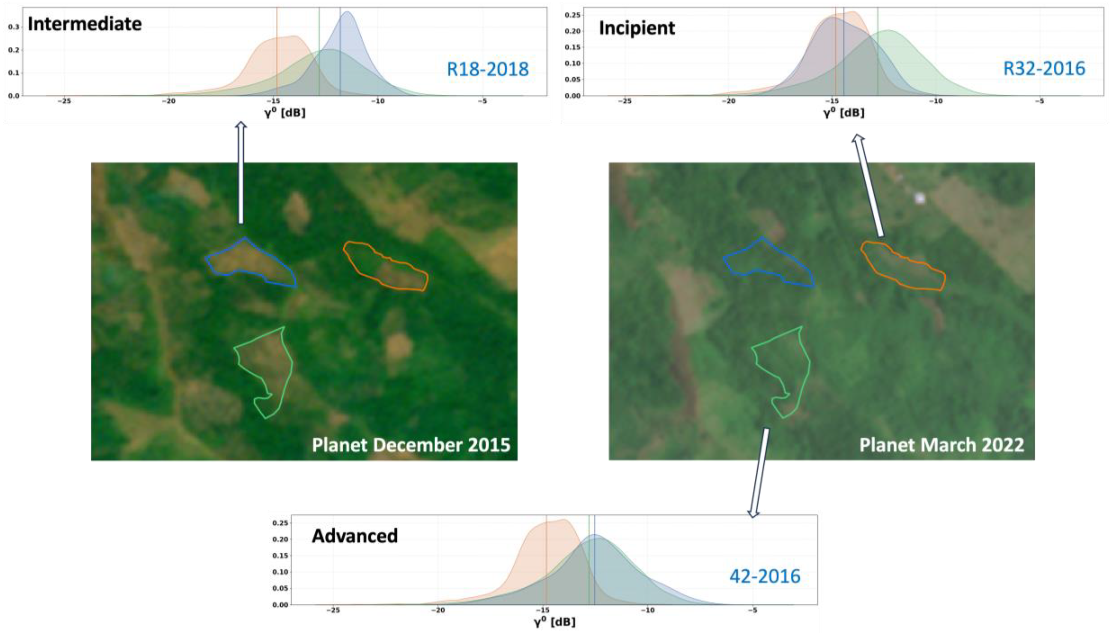 Forests 15 00754 g010 Forests 15 00754 g010