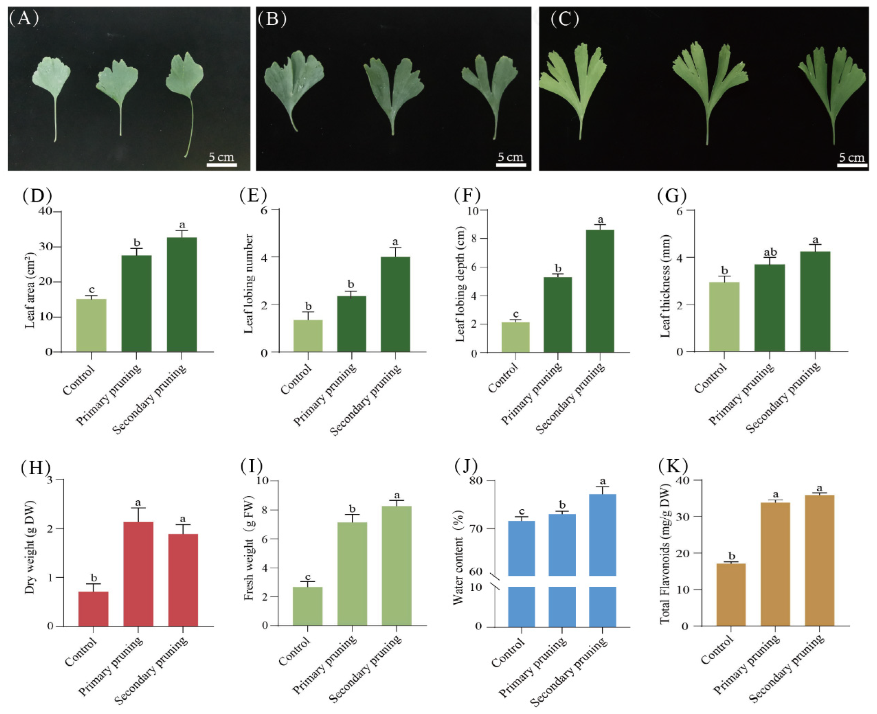 Forests 15 00761 g005 Forests 15 00761 g005