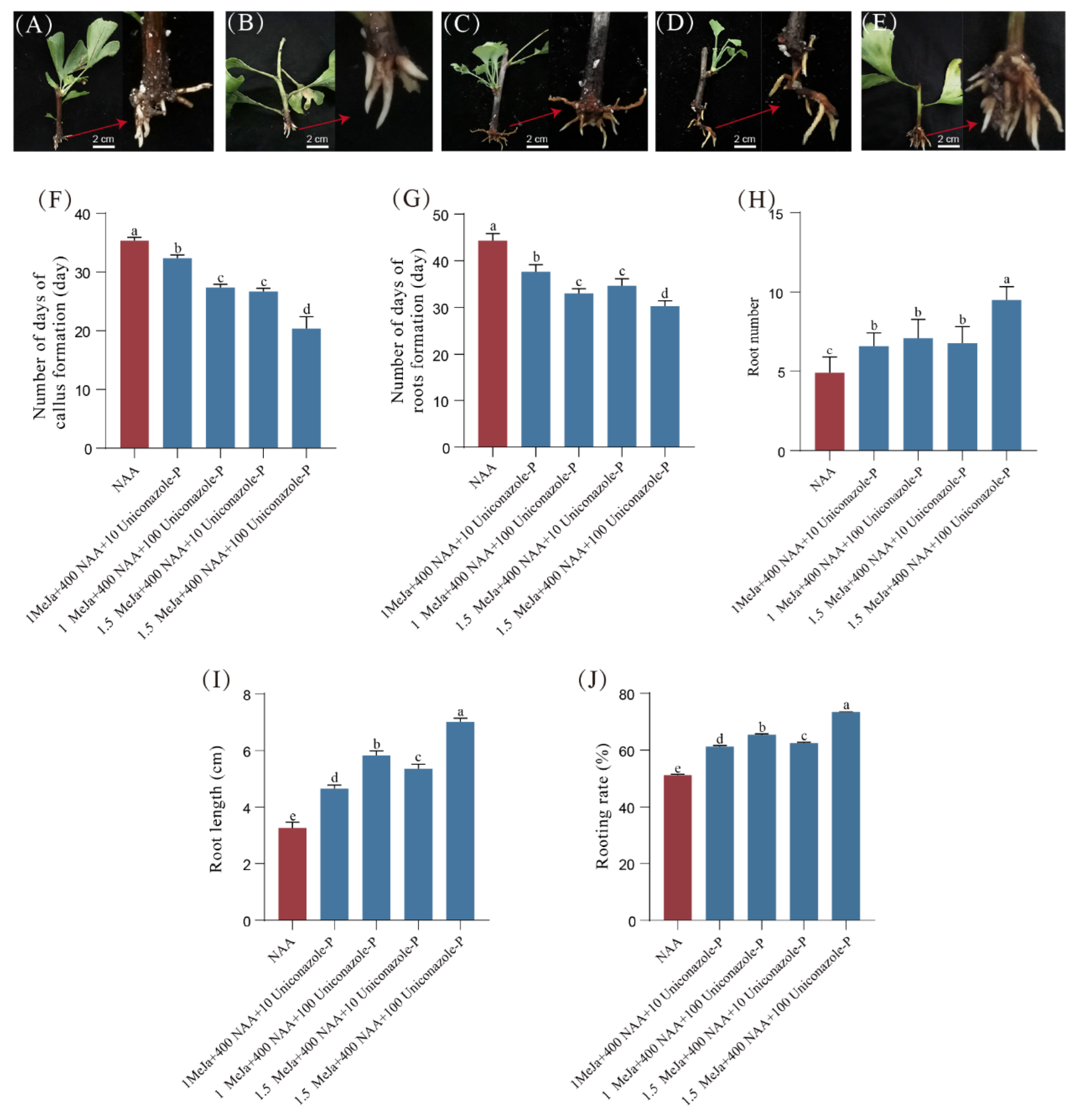 Forests 15 00761 g009 Forests 15 00761 g009