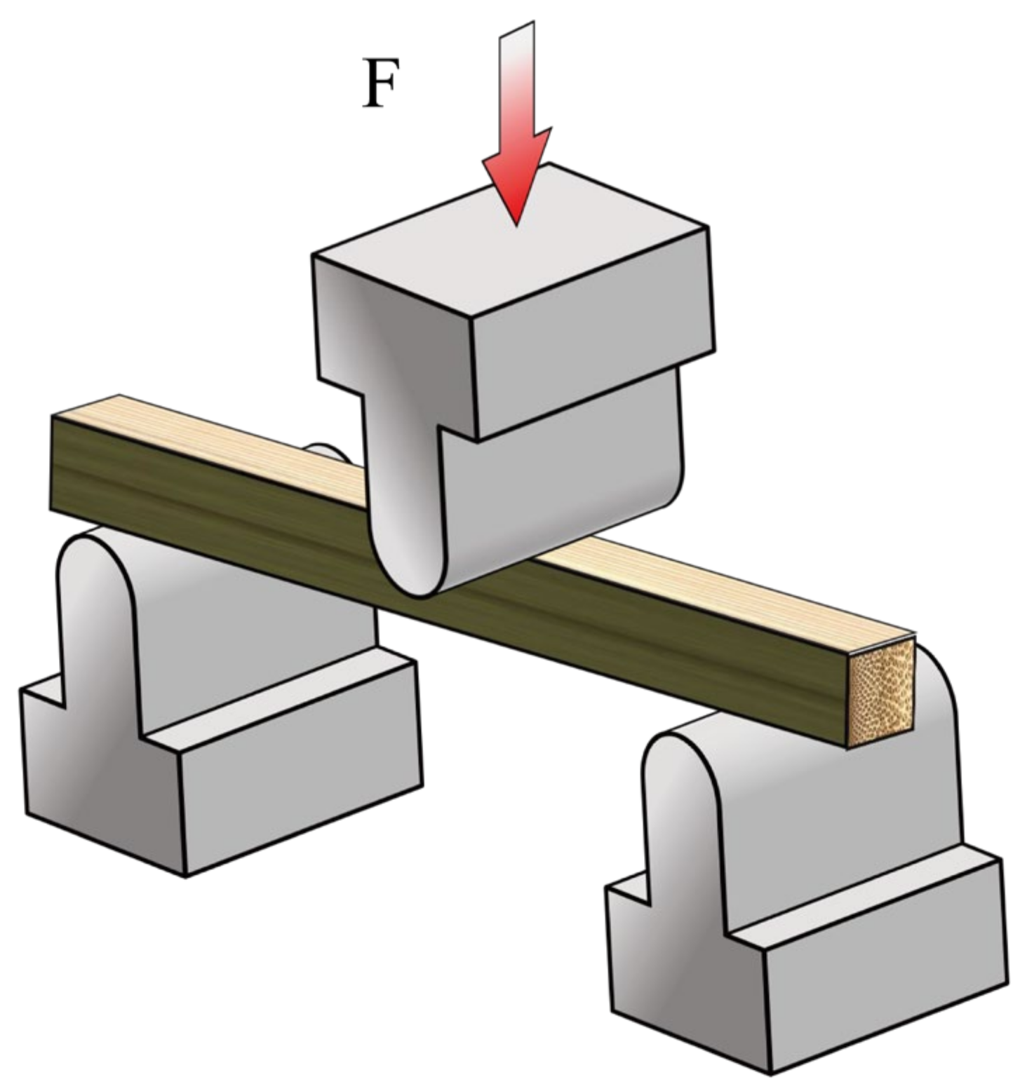 Forests 15 00762 g003