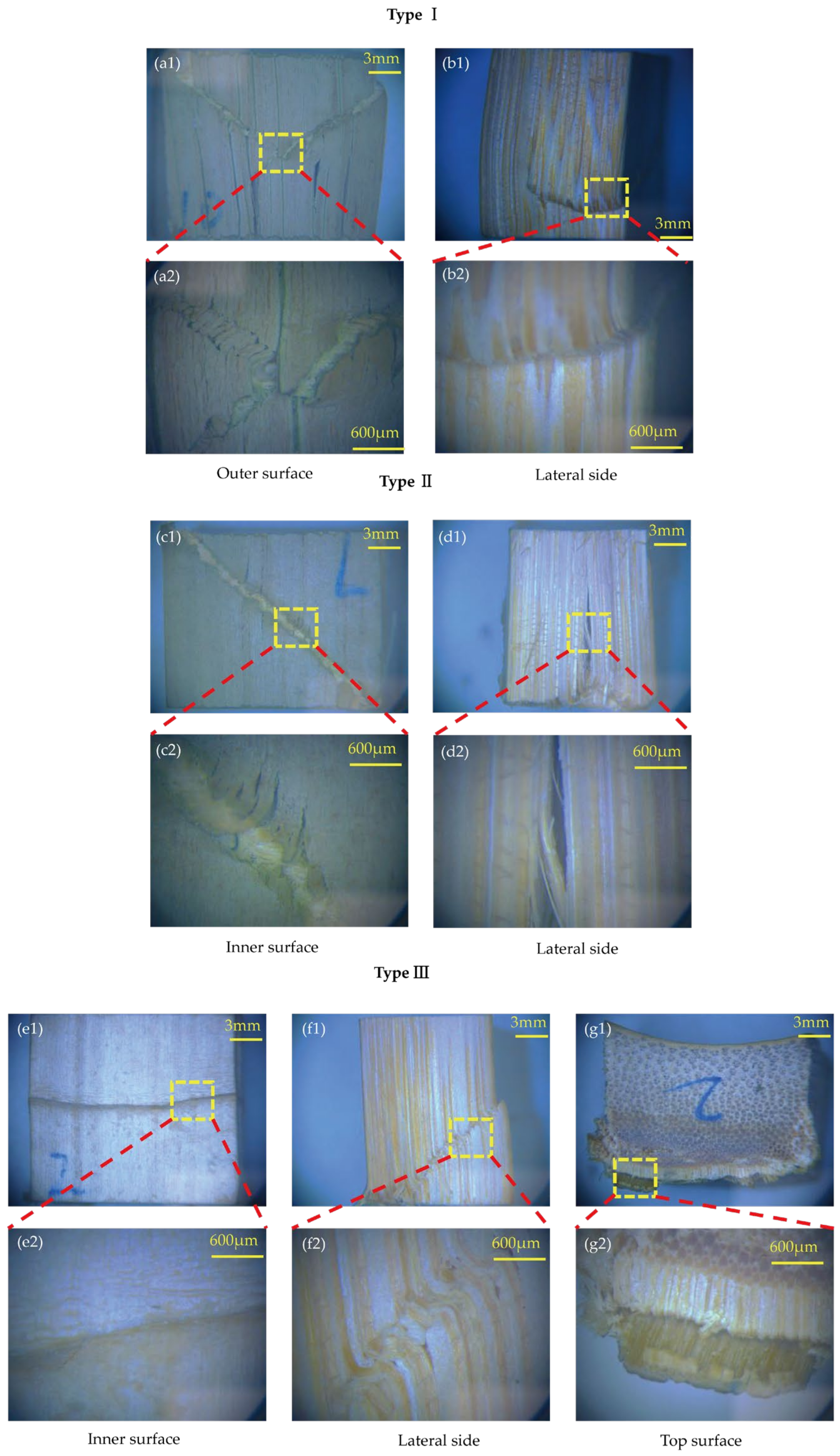 Forests 15 00762 g009