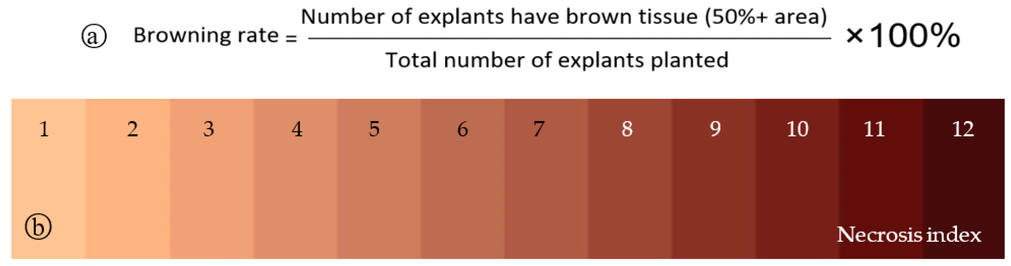 Forests 15 00764 g002