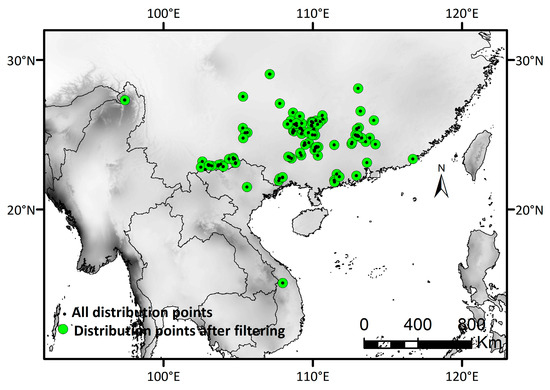Distribution Dynamics of Diplopanax stachyanthus Hand.-Mazz Distribution Dynamics of Diplopanax stachyanthus Hand.-Mazz