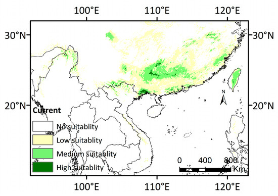 Distribution Dynamics of Diplopanax stachyanthus Hand.-Mazz Distribution Dynamics of Diplopanax stachyanthus Hand.-Mazz