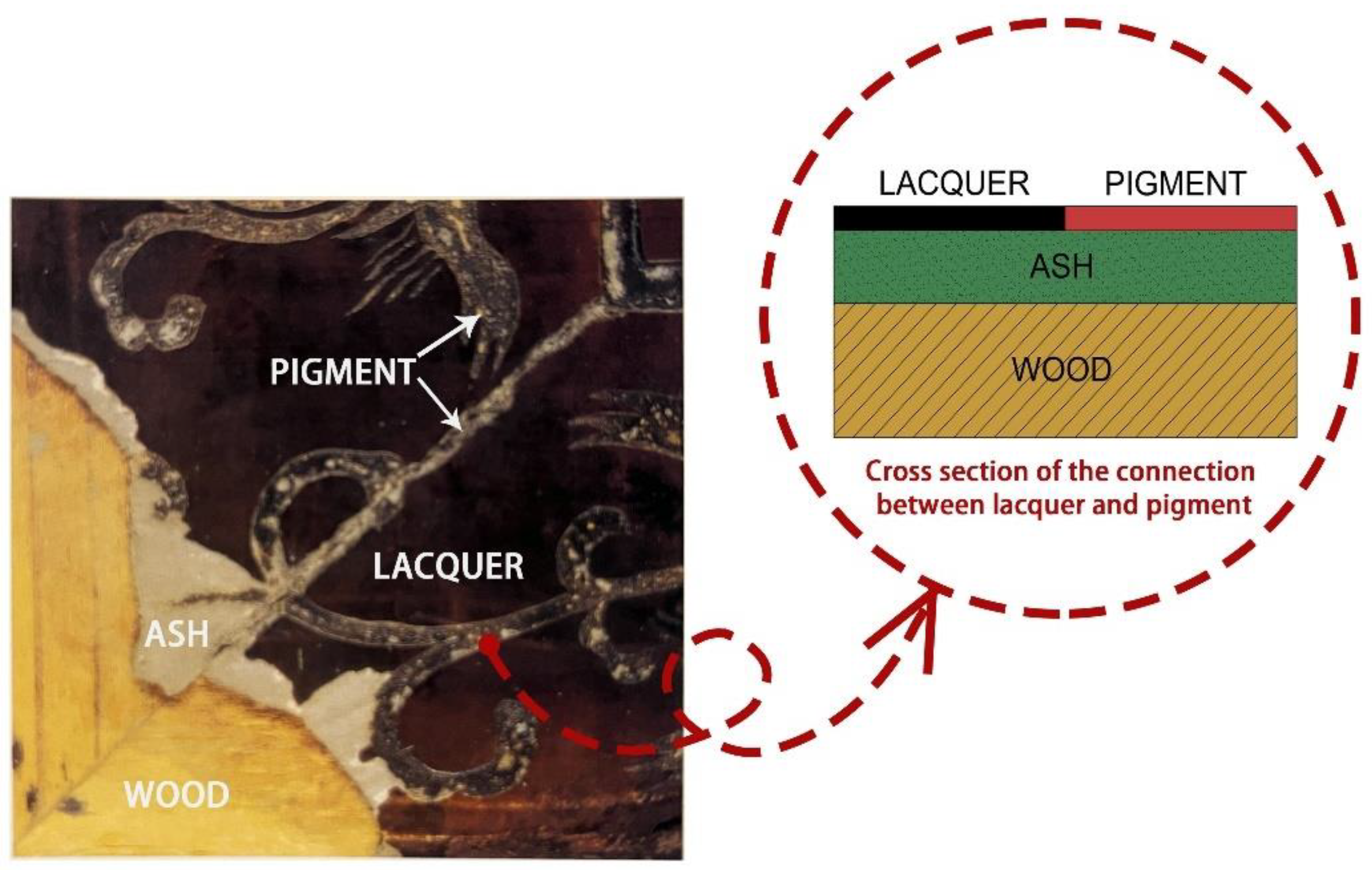 Forests 15 00770 g001
