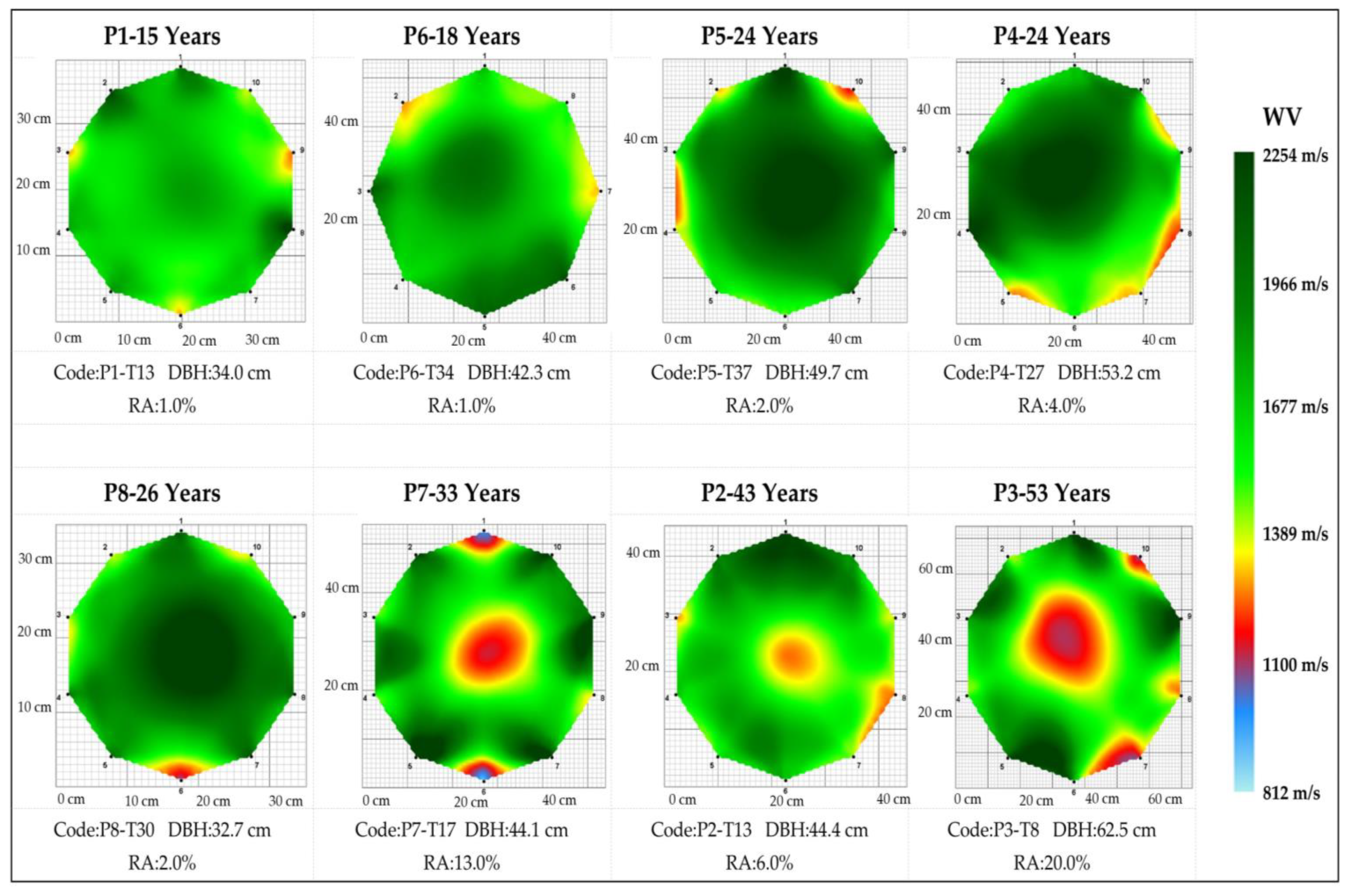 Forests 15 00778 g003 Forests 15 00778 g003