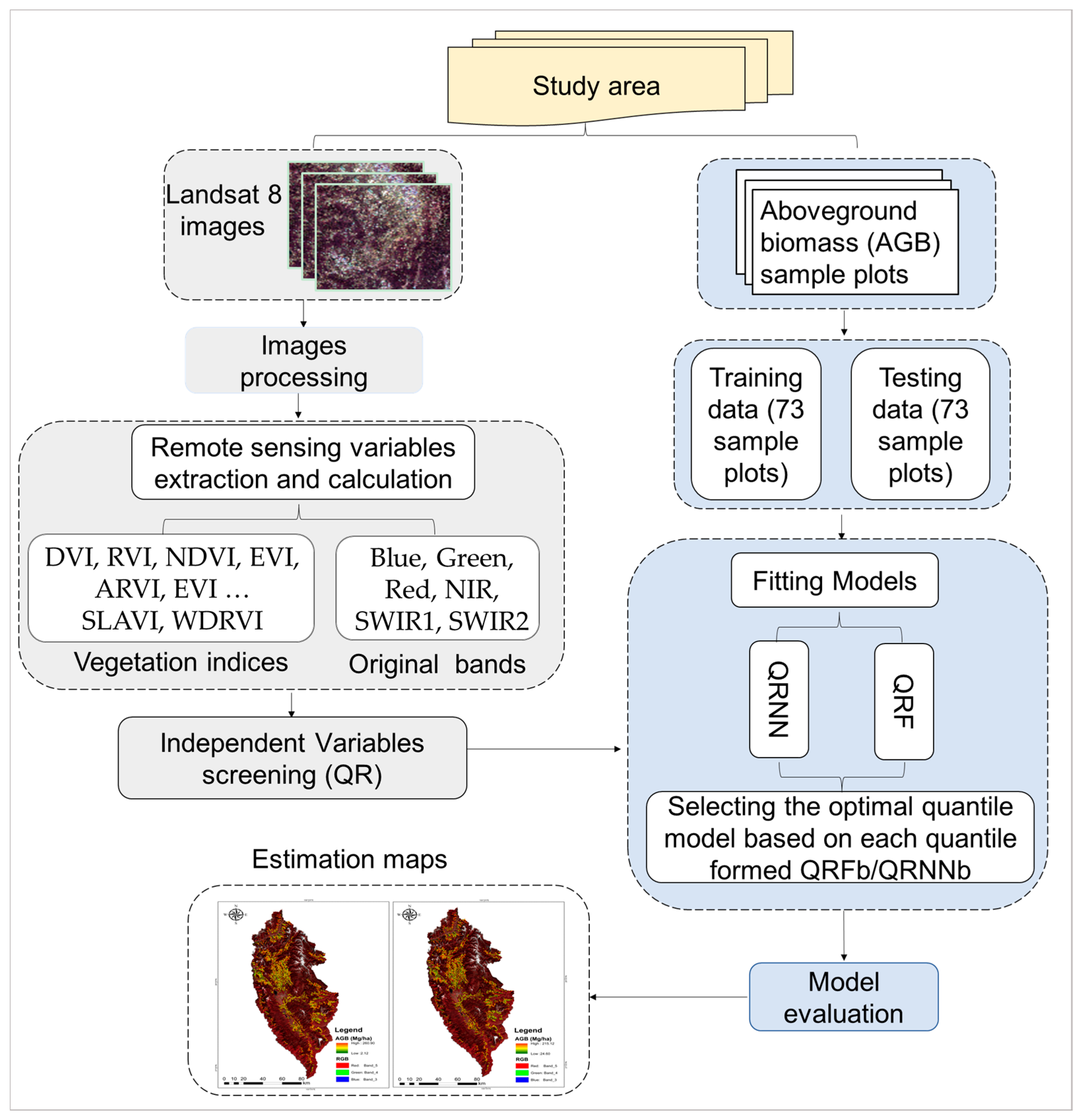 Comparison of QRNN and QRF Models in Forest Biomass Estimation Based on ...
