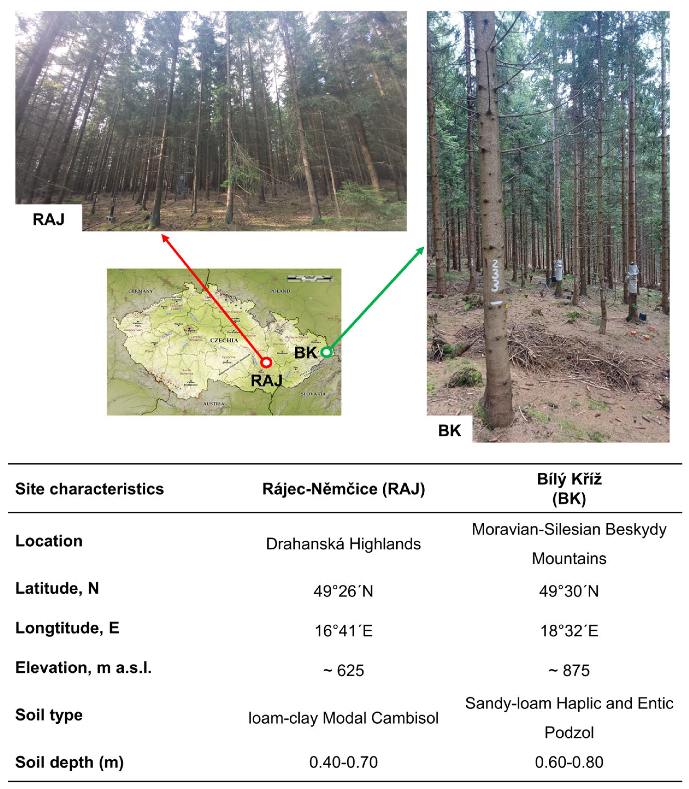 Forests 15 00784 g0a1 Forests 15 00784 g0a1