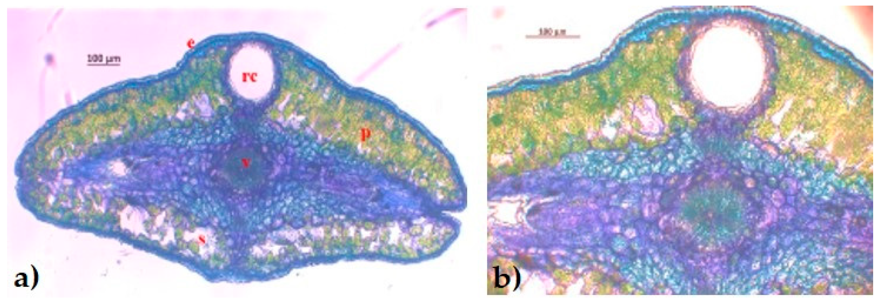 Forests 15 00790 g002