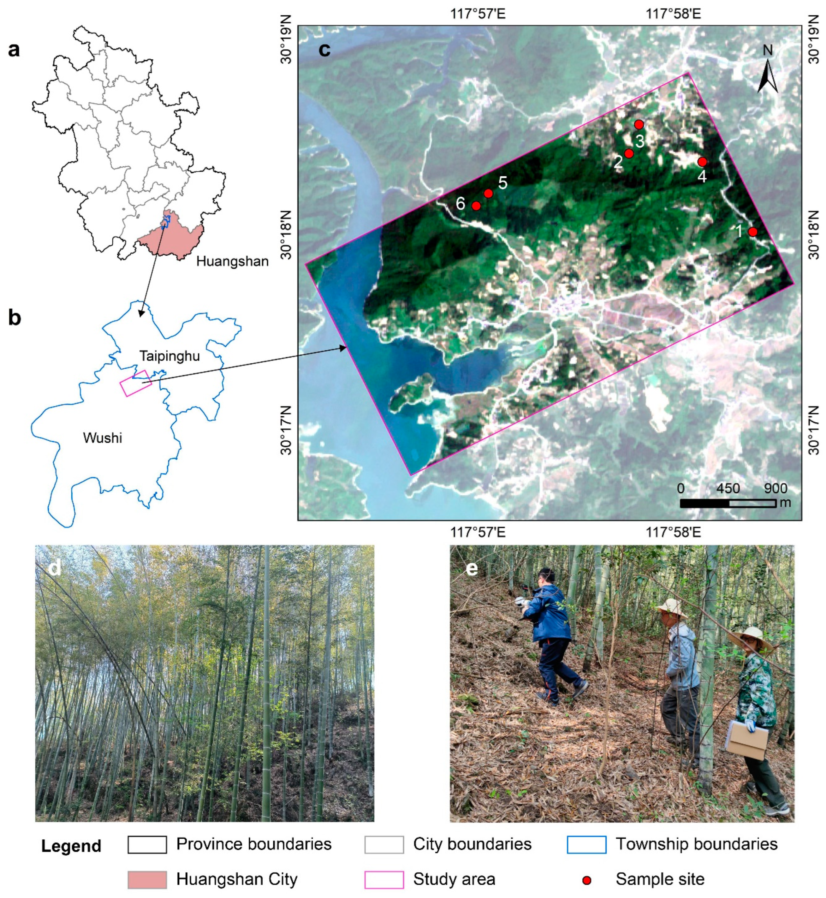 Forests 15 00804 g001