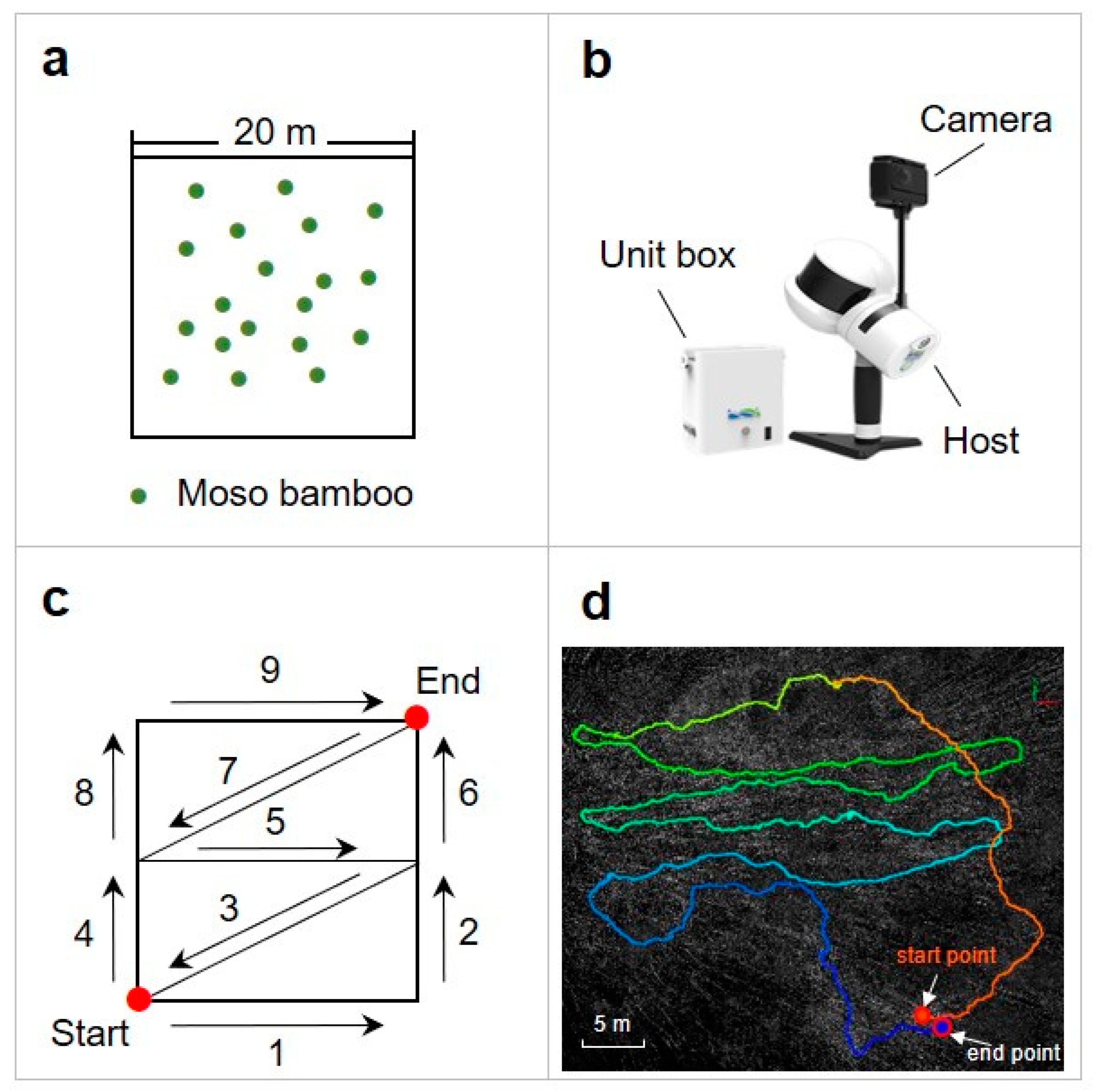 Forests 15 00804 g002