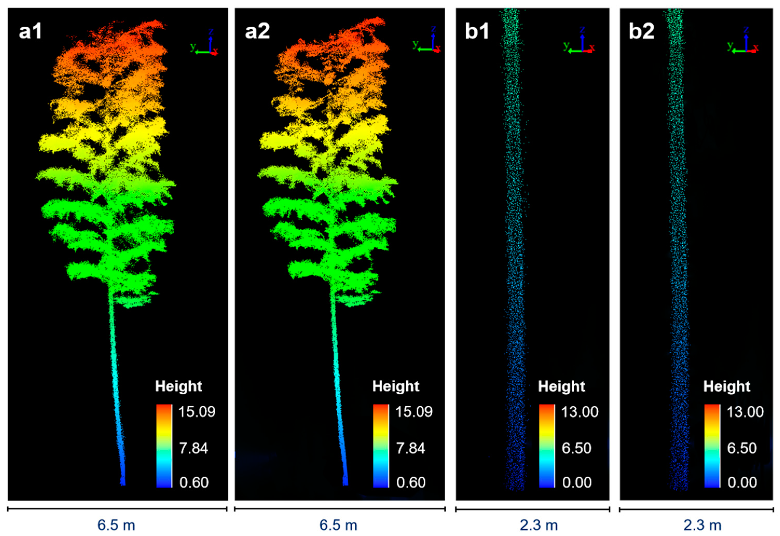 Forests 15 00804 g005
