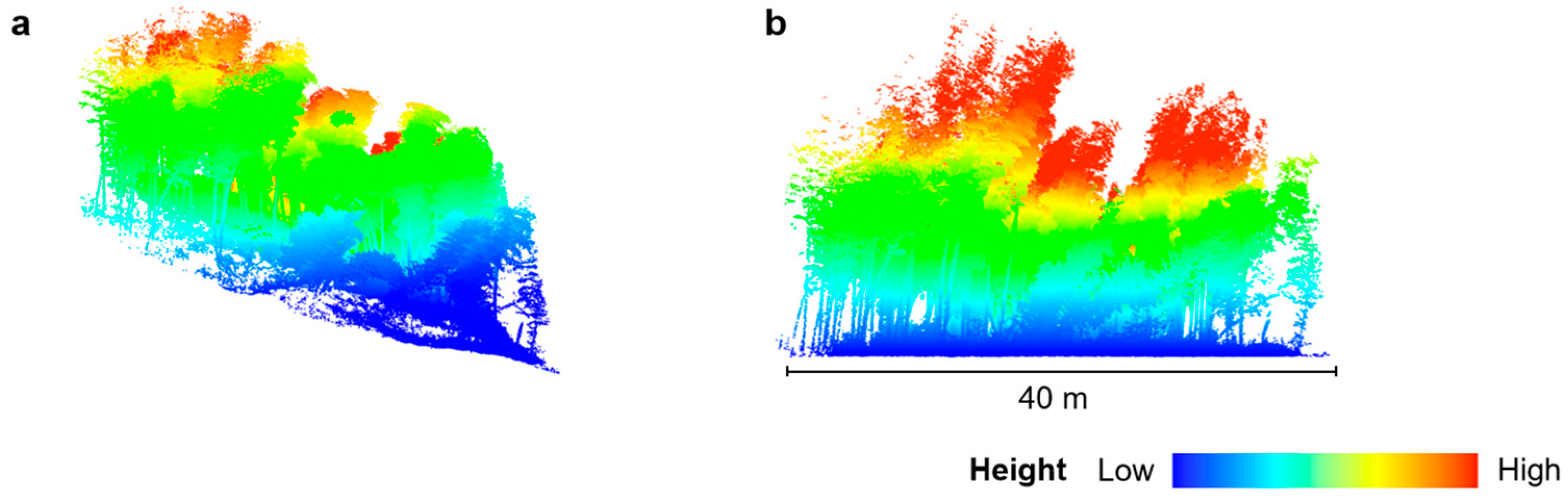 Forests 15 00804 g006