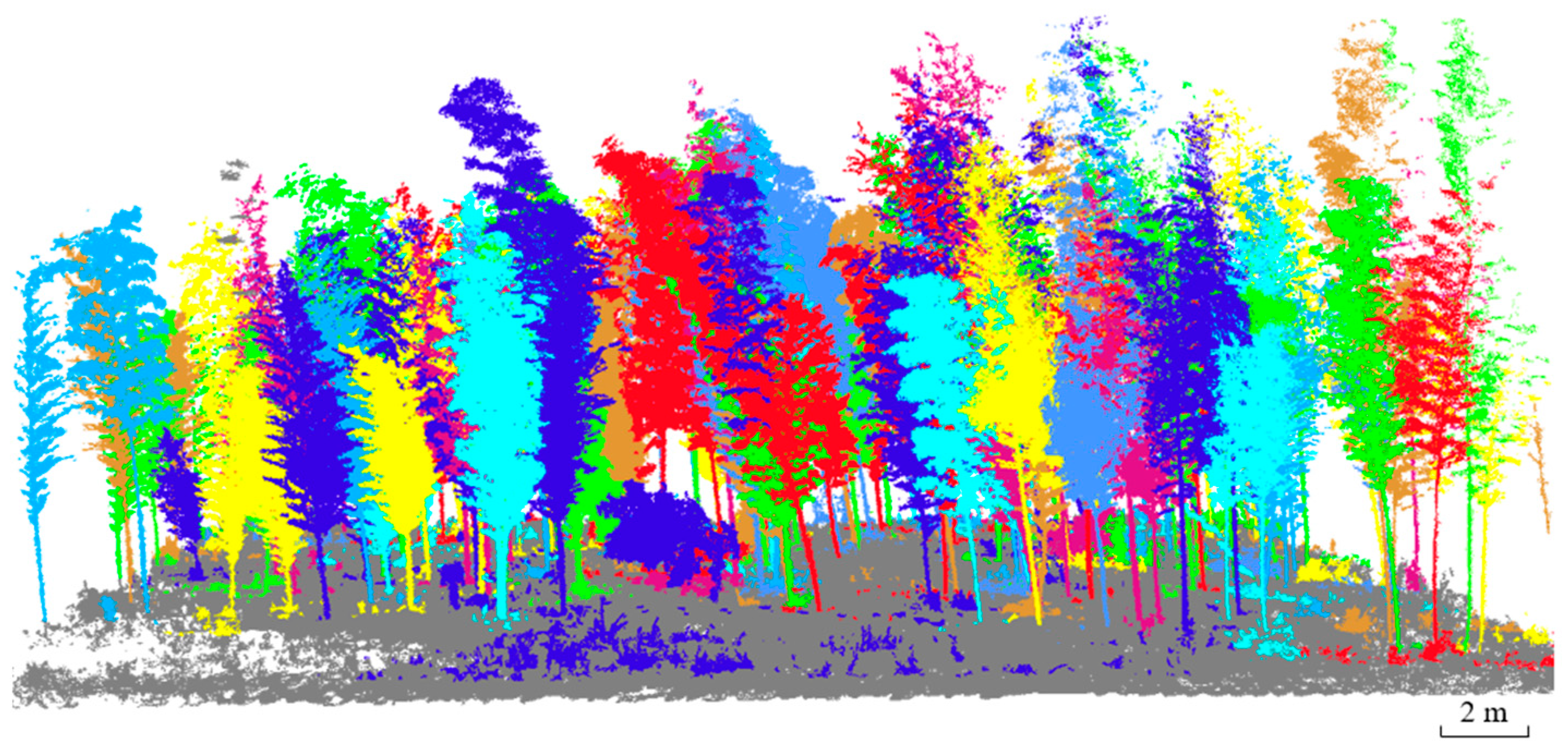 Forests 15 00804 g007