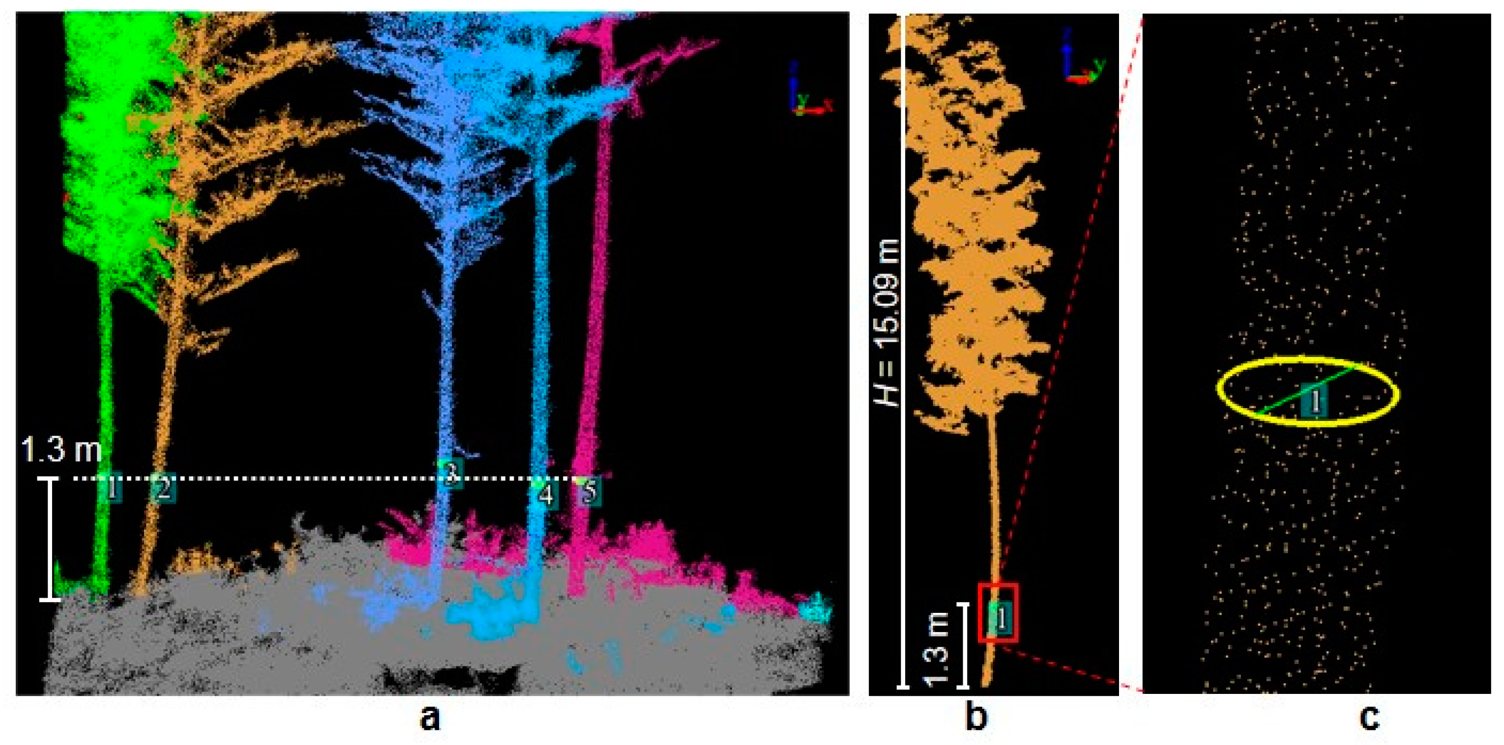 Forests 15 00804 g008