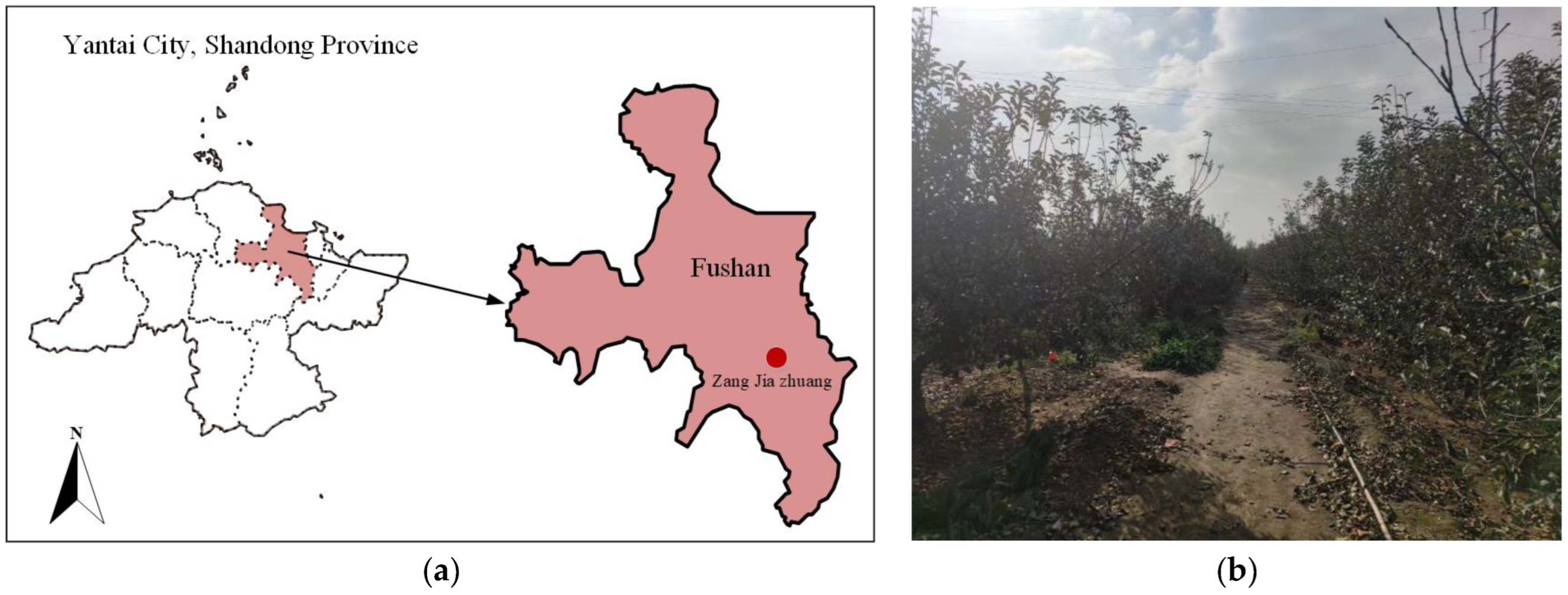 Forests 15 00823 g001