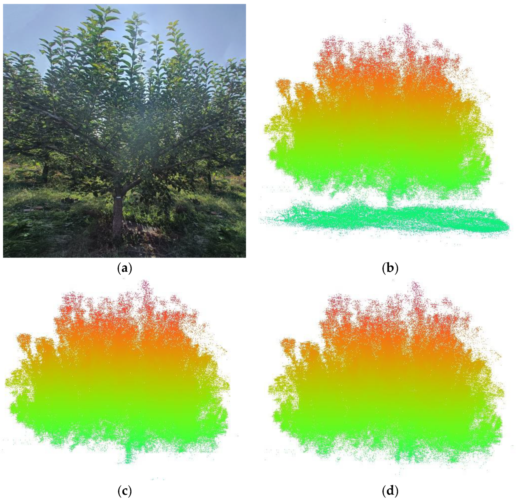Forests 15 00823 g008