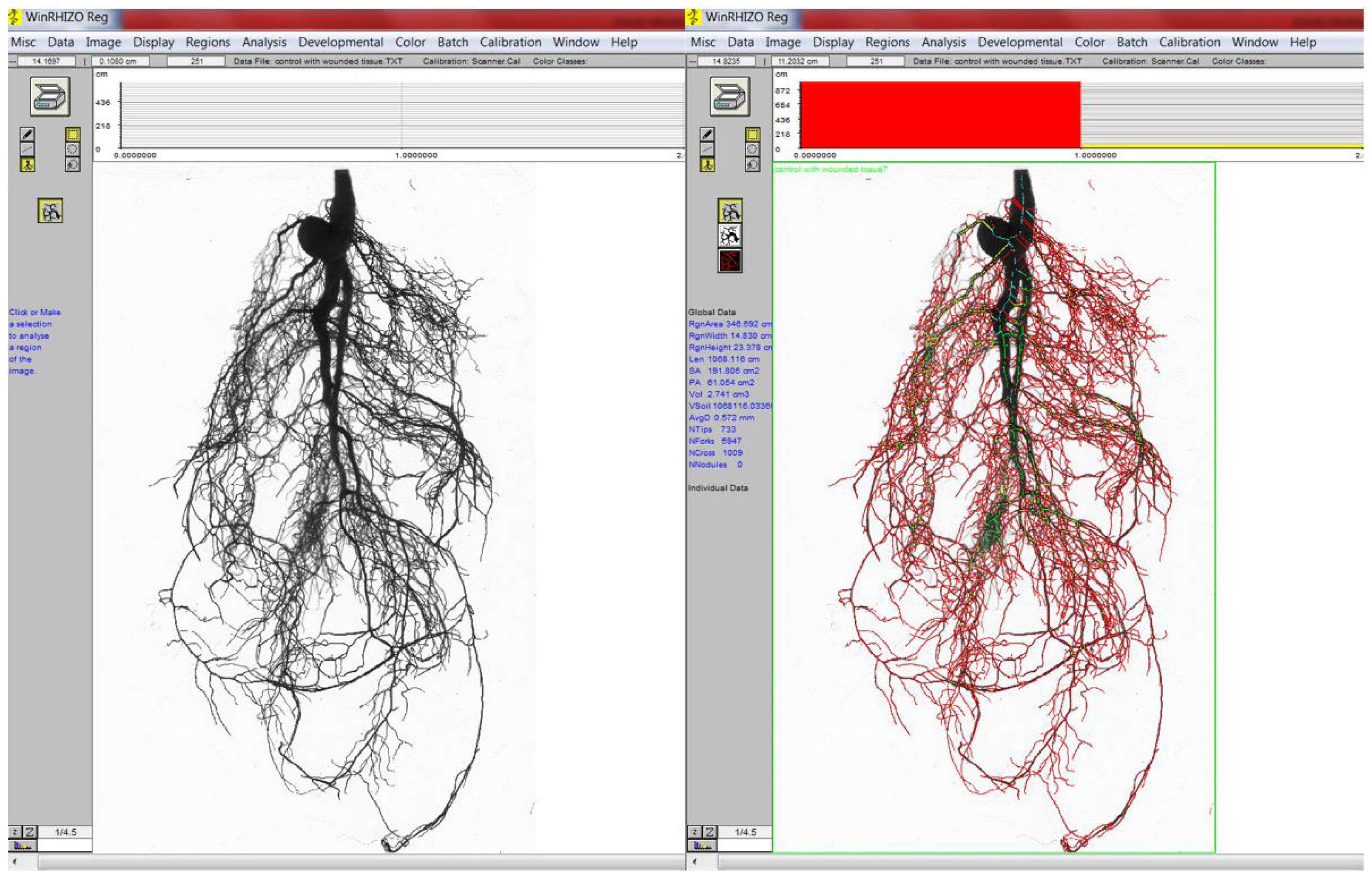 Forests 15 00829 g003