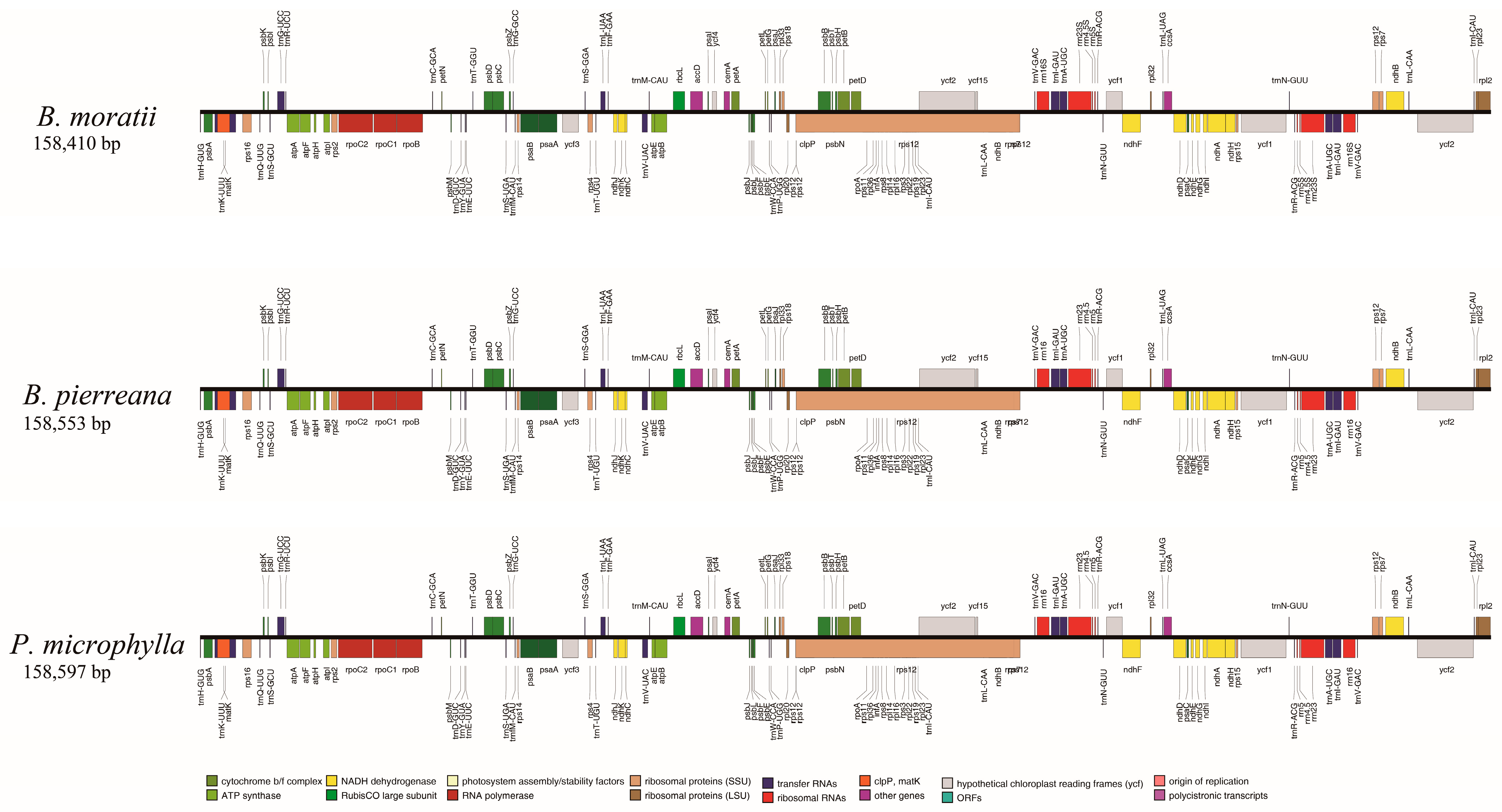 Forests 15 00832 g002