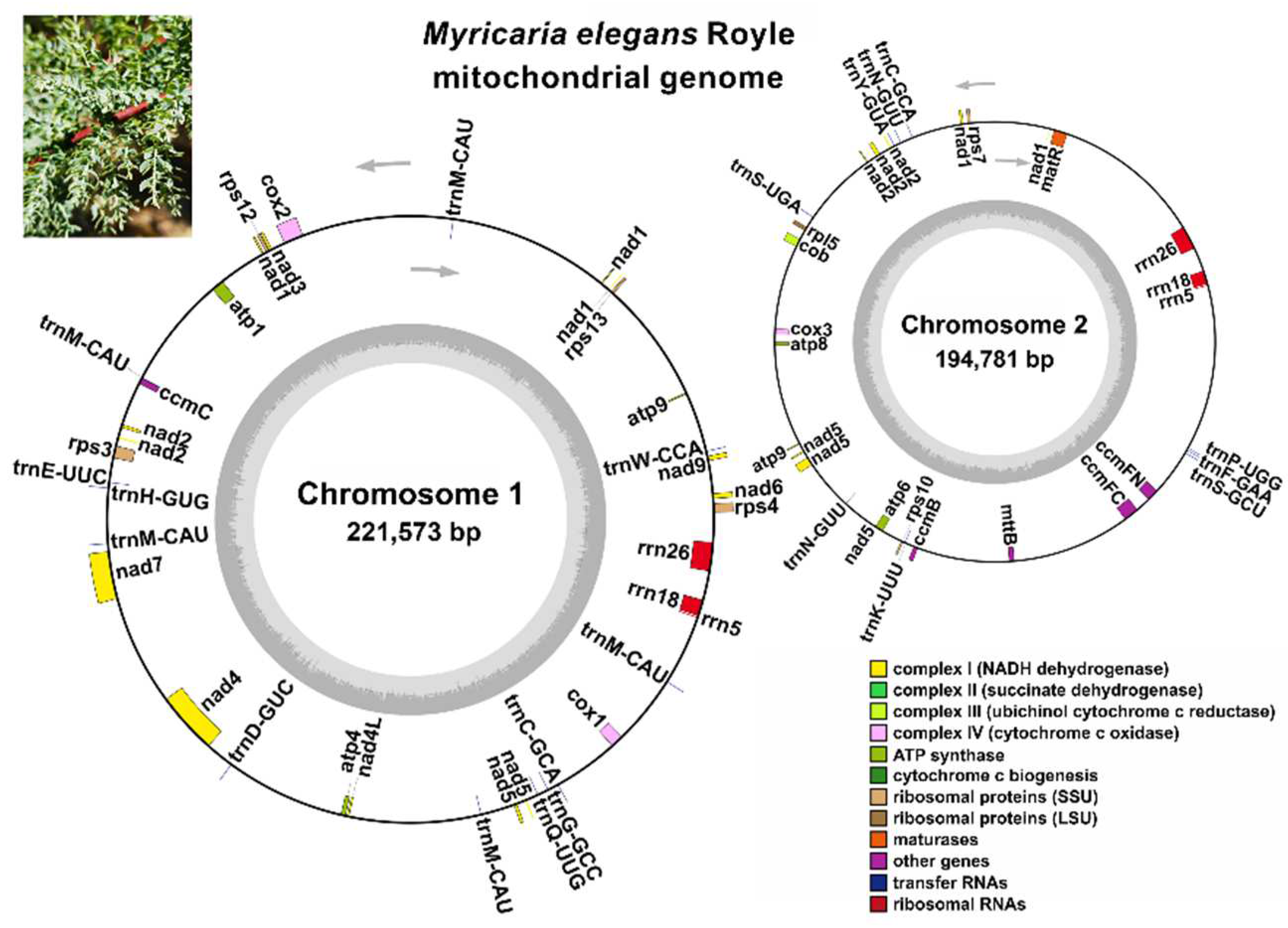Forests 15 00835 g002 Forests 15 00835 g002