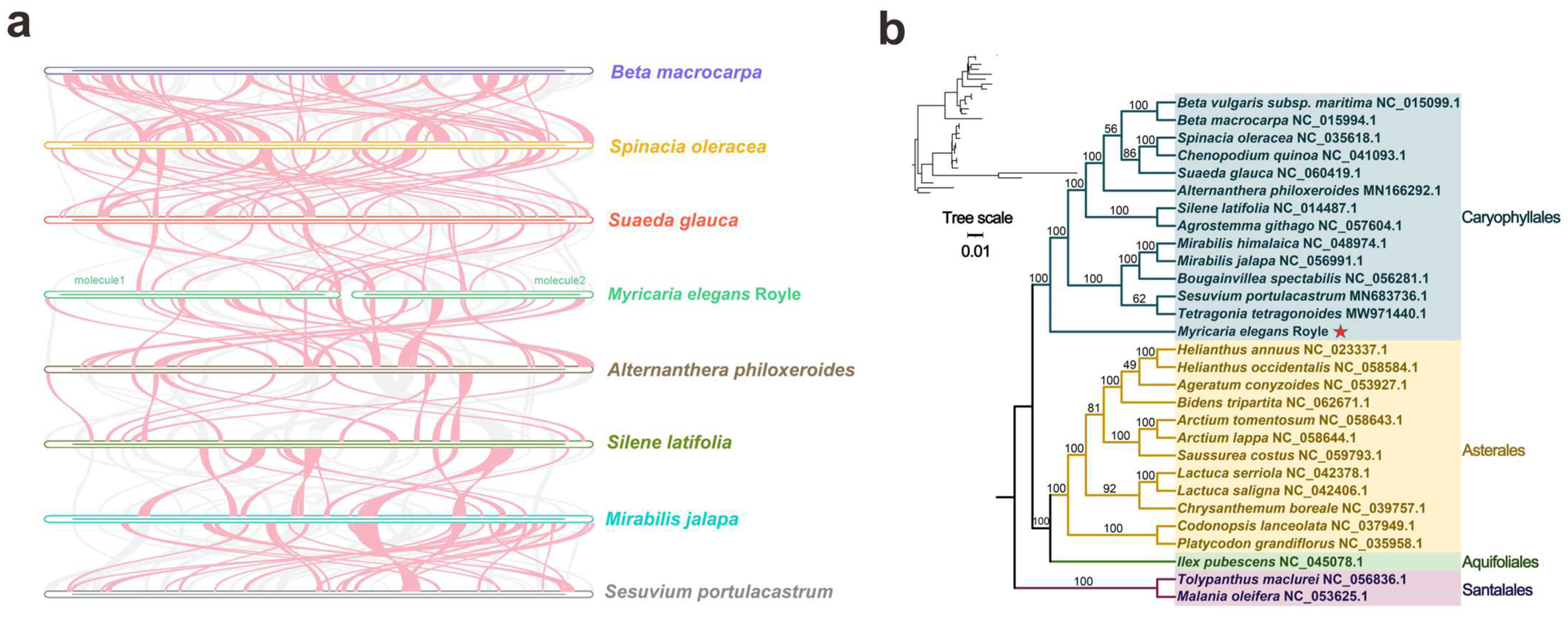 Forests 15 00835 g008 Forests 15 00835 g008