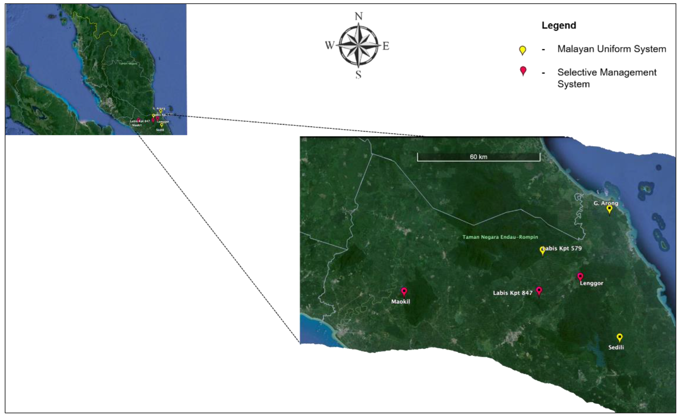 Forests 15 00838 g001 Forests 15 00838 g001