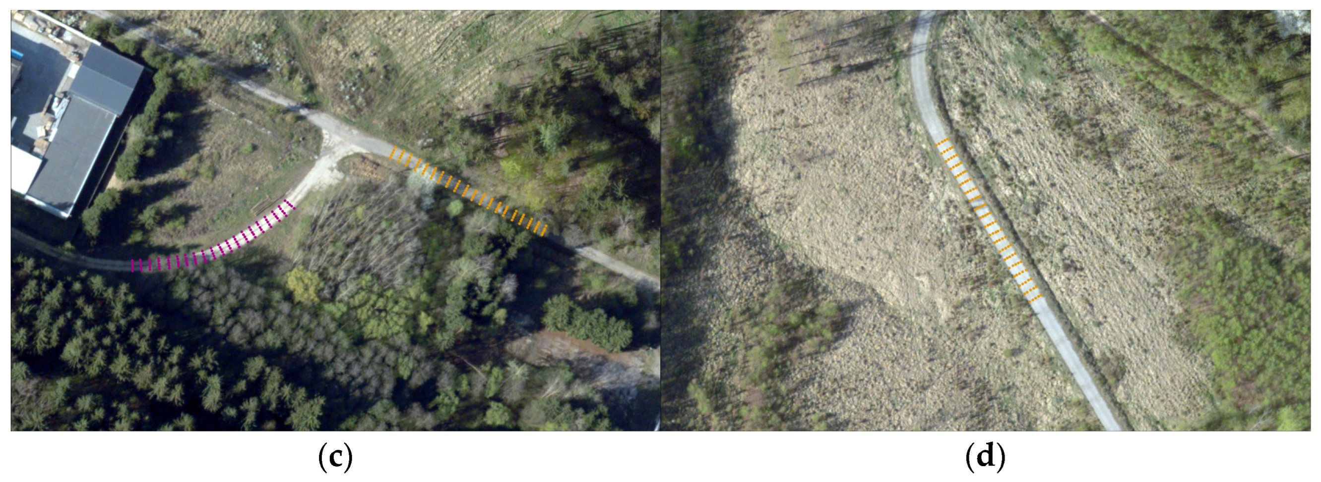 Forests 15 00840 g003b Forests 15 00840 g003b