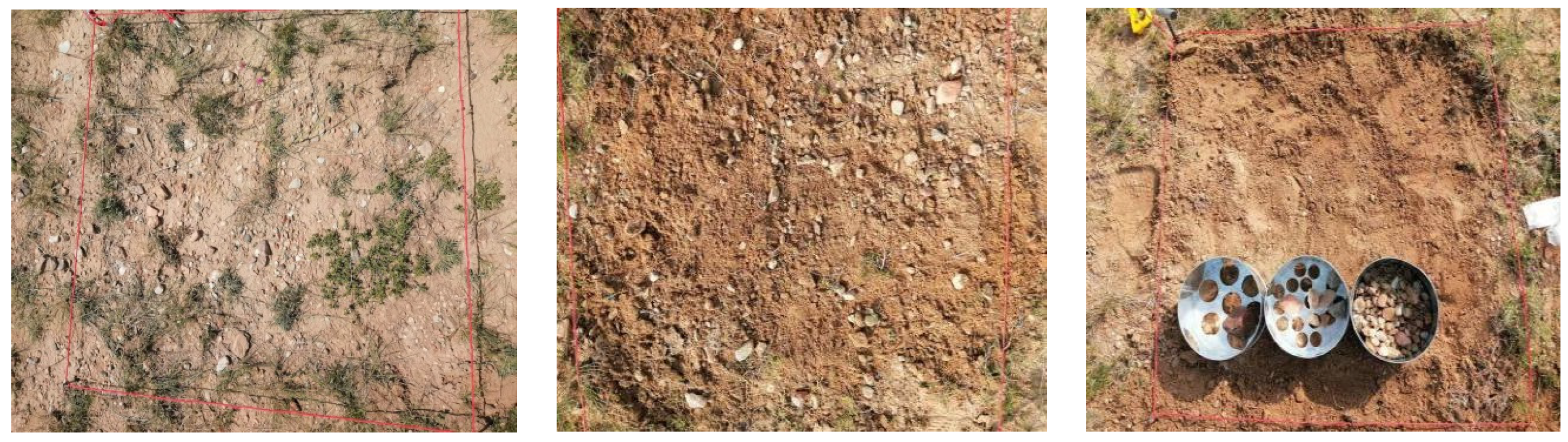 Forests 15 00841 g003