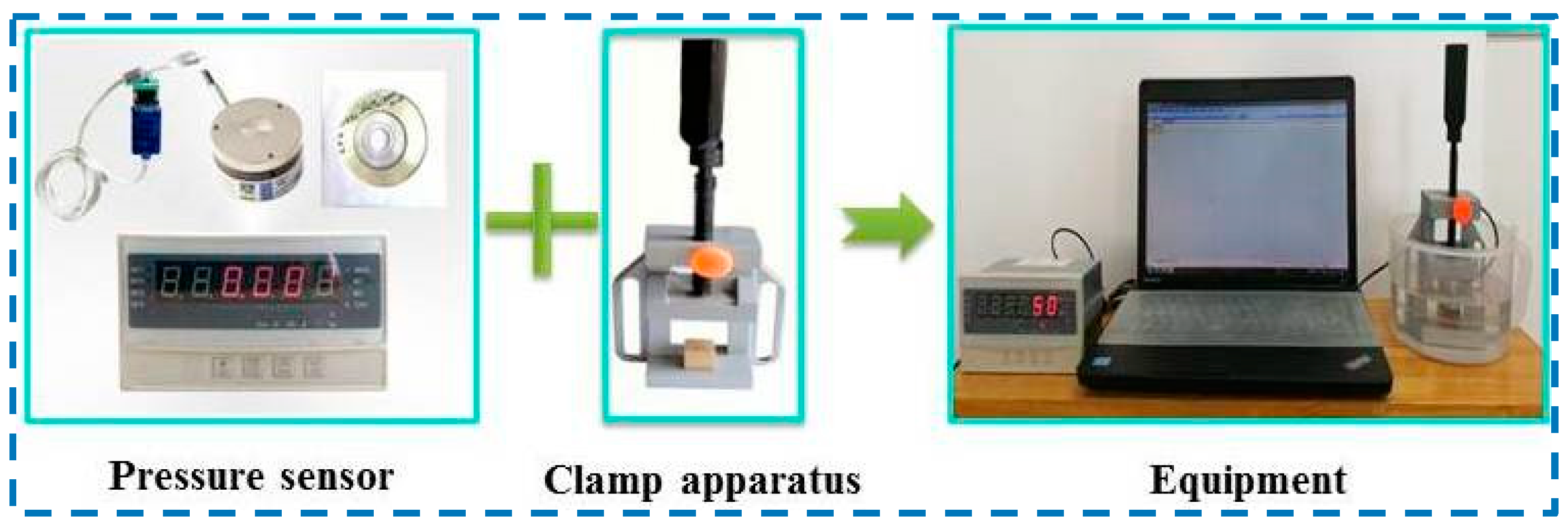 Forests 15 00842 g001