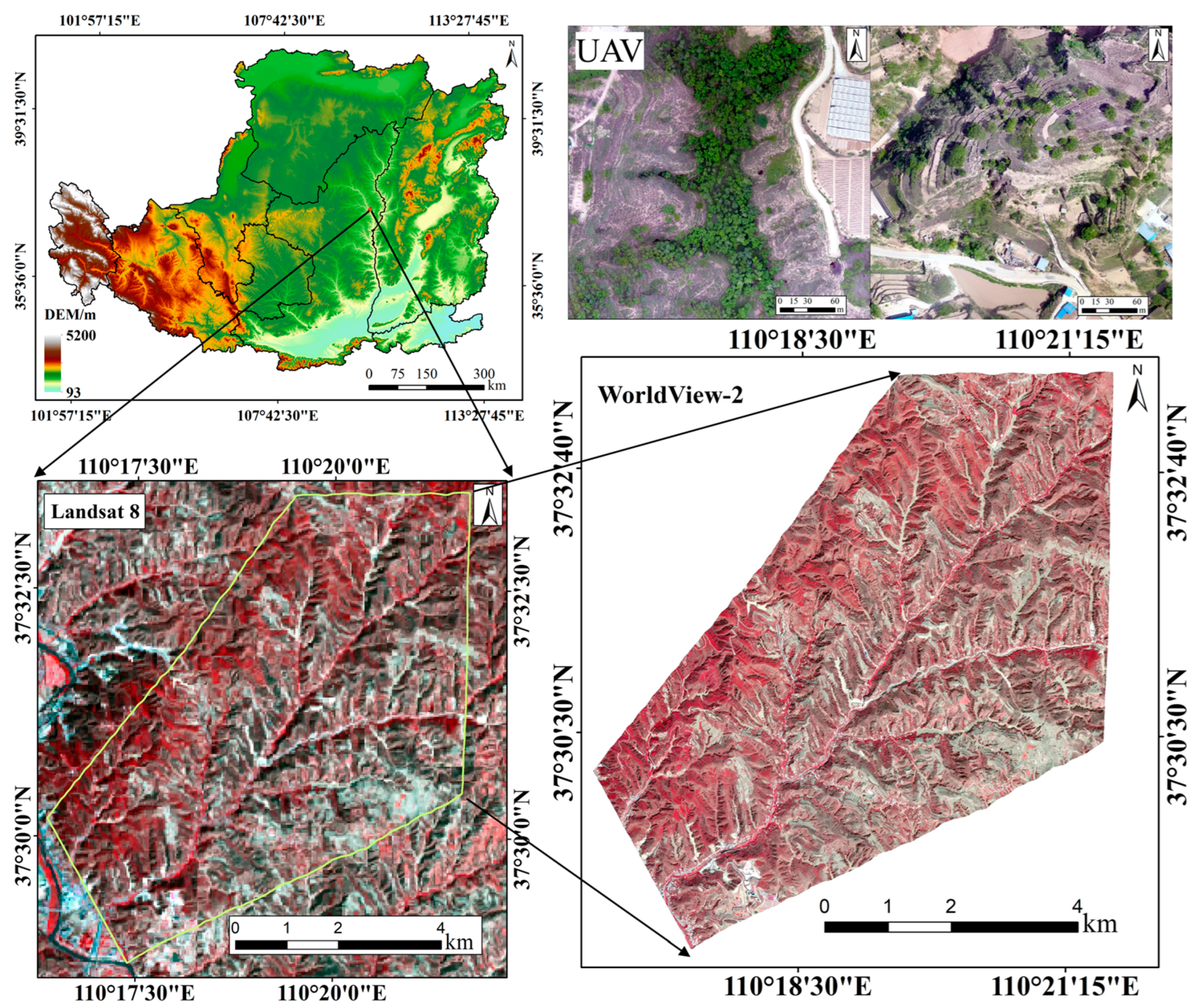 Forests 15 00847 g001