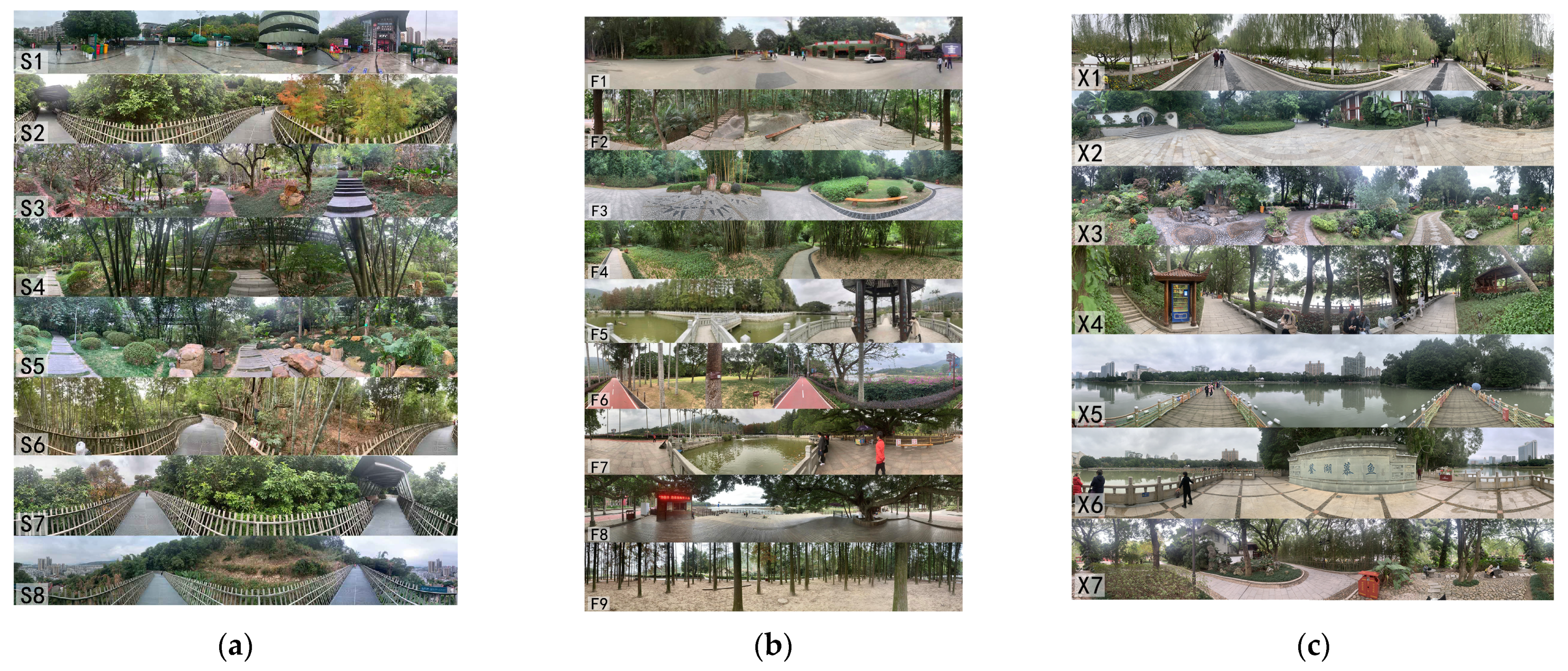 Forests 15 00858 g003