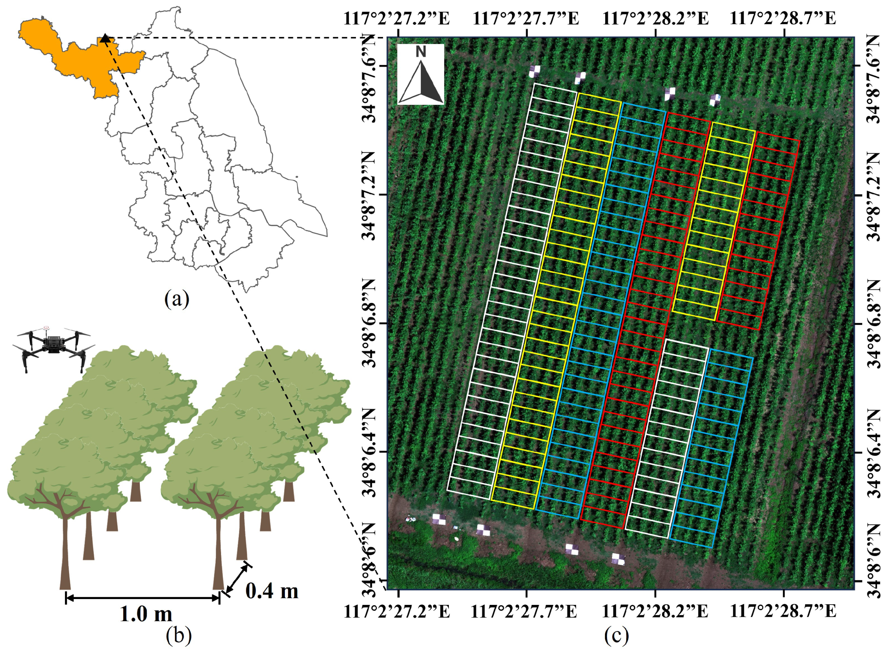 Forests 15 00859 g001